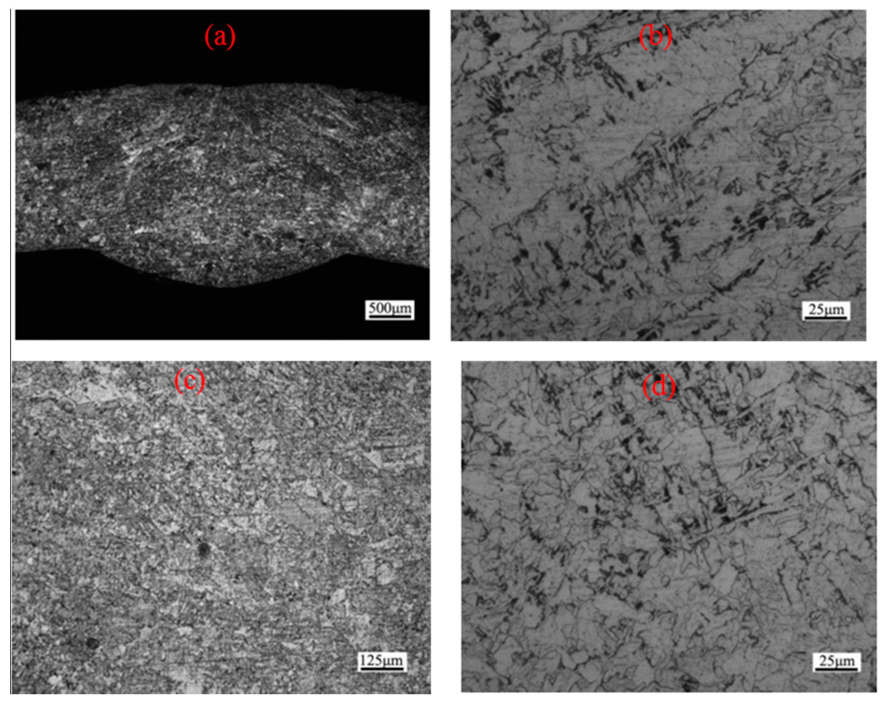 Jmmp 01 00019 g014 550