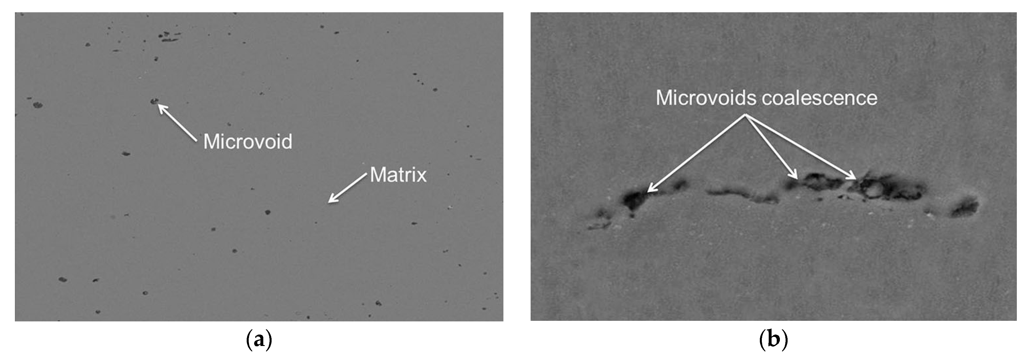 Jmmp 02 00003 g001 550