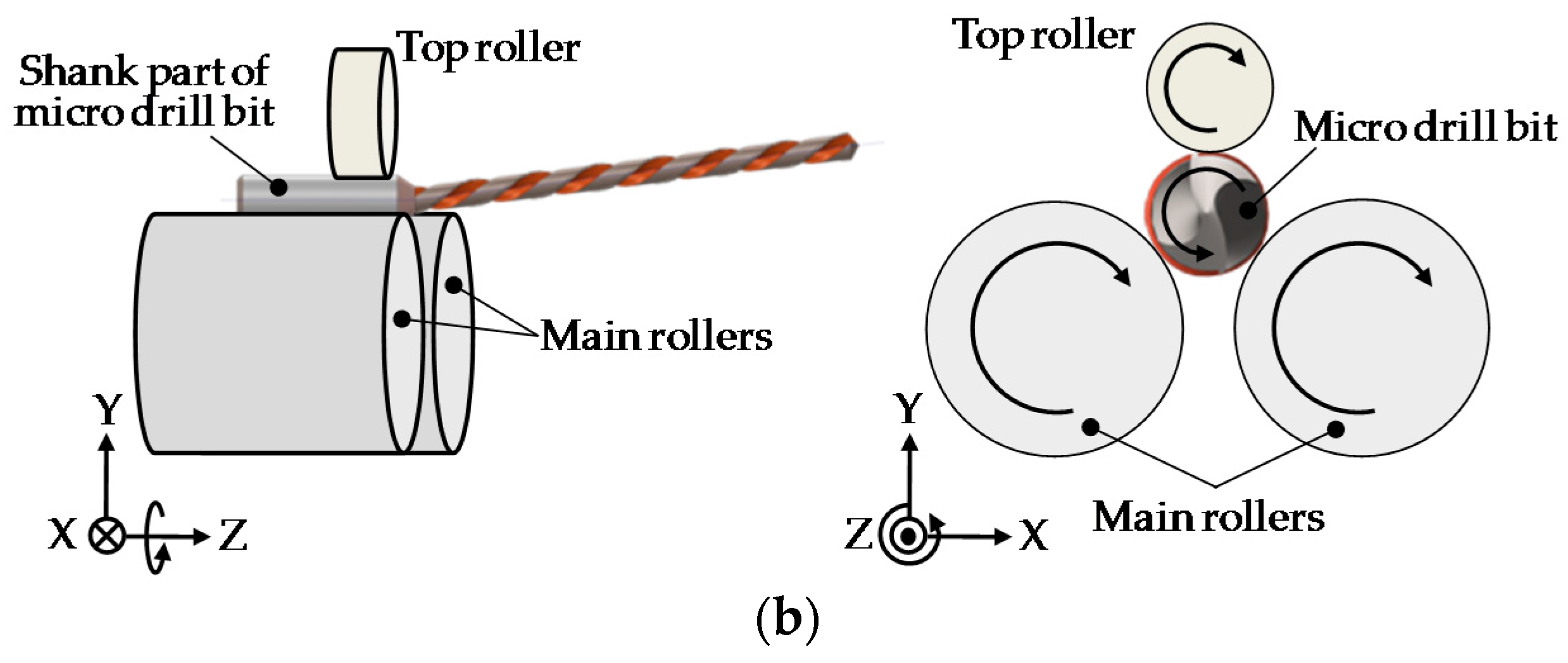 Jmmp 02 00004 g002b 550