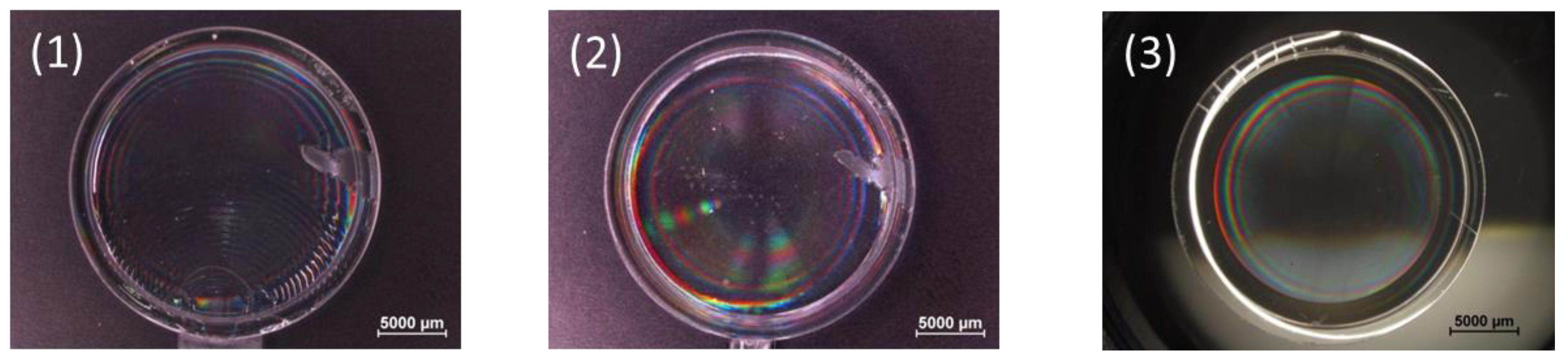 Jmmp 02 00005 g004