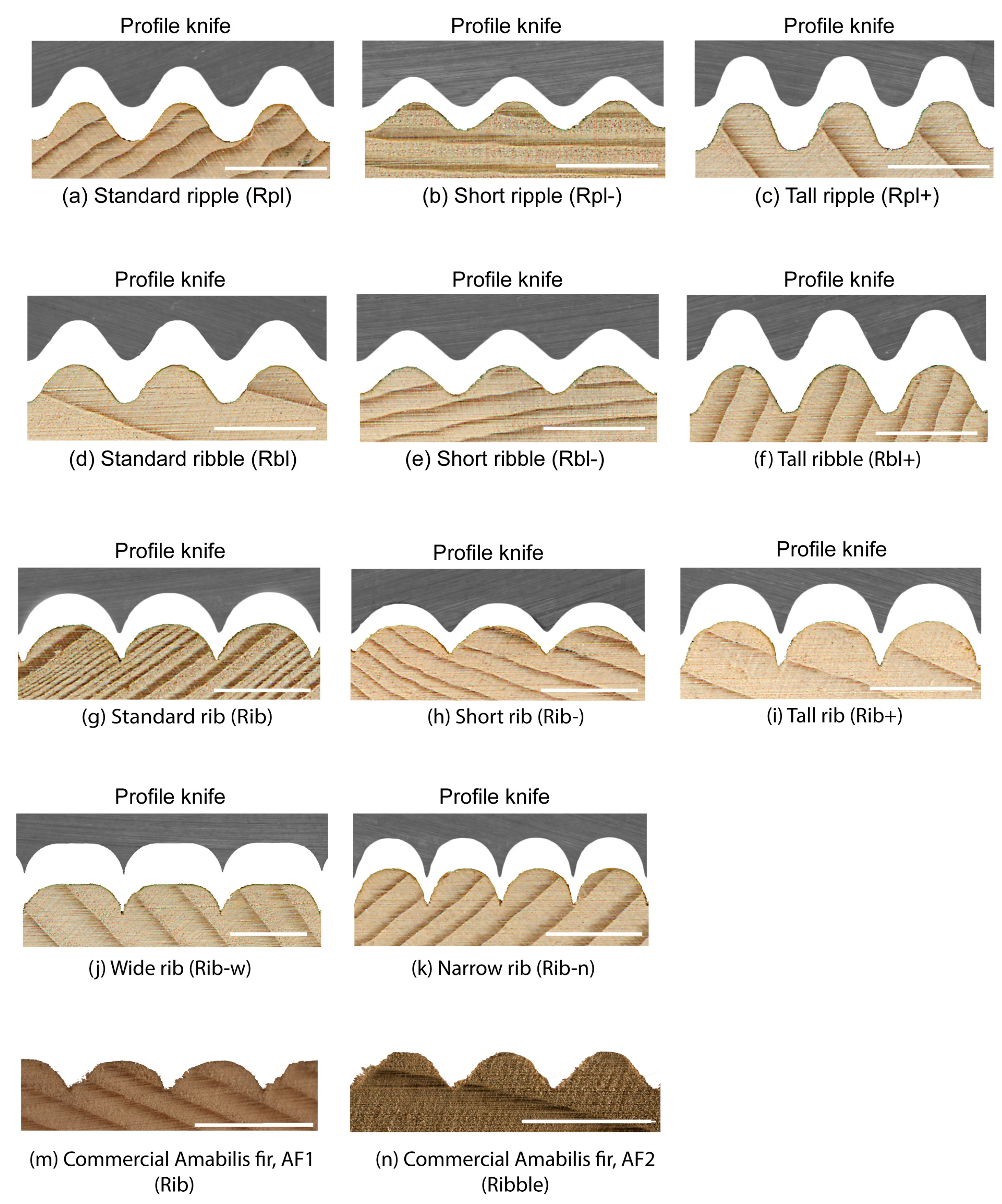 Jmmp 02 00007 g002 550