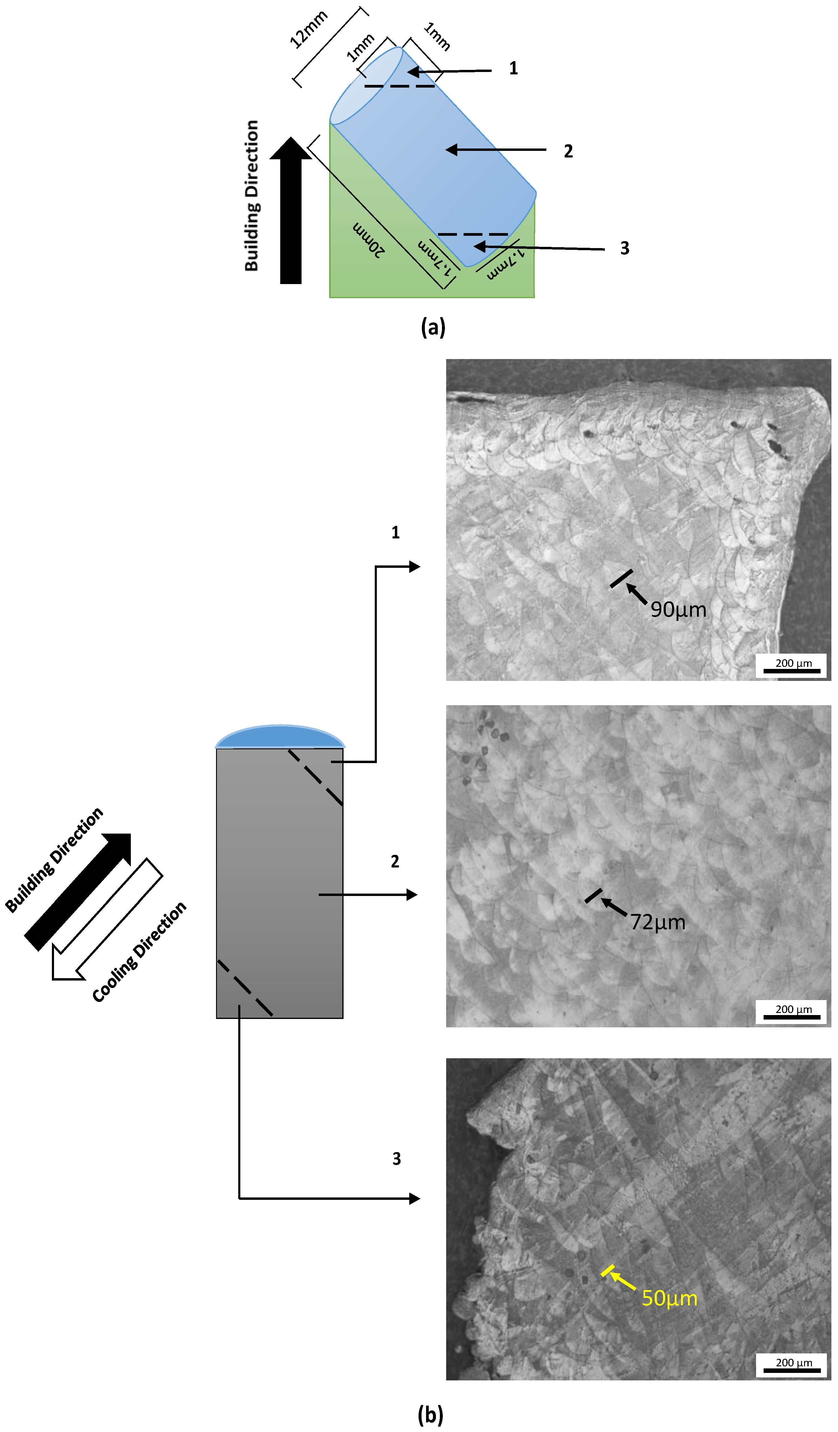 Jmmp 02 00030 g003 Jmmp 02 00030 g003