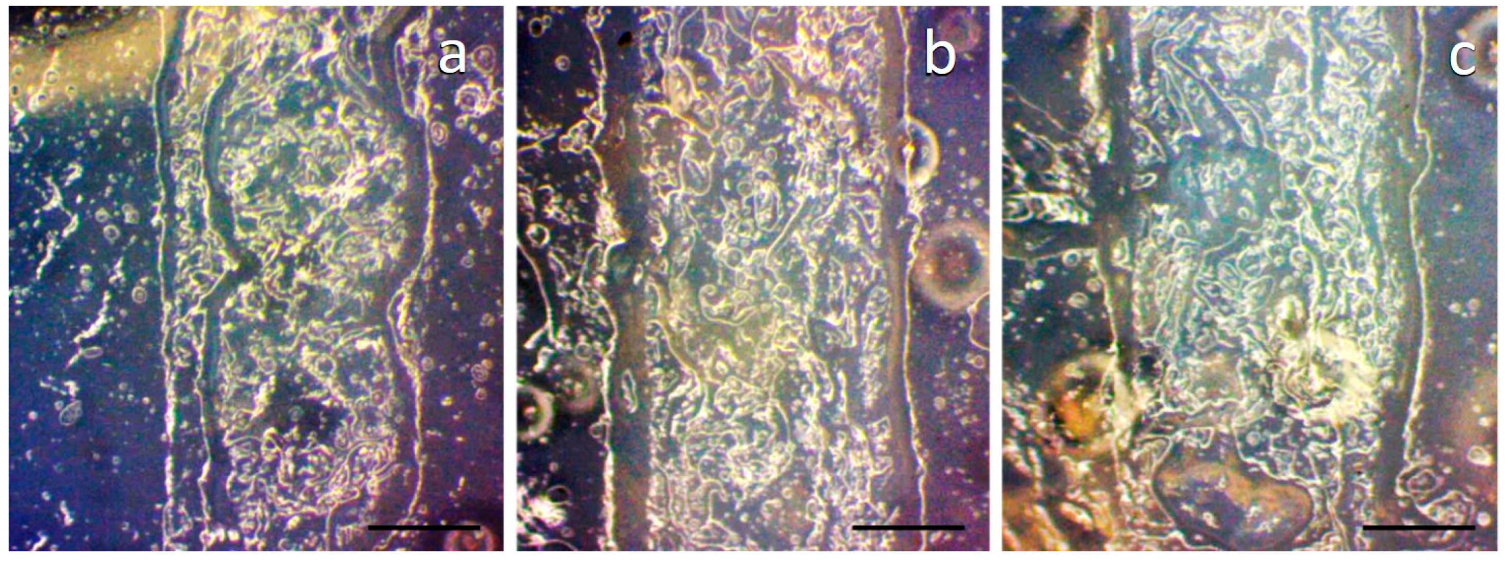 Jmmp 02 00042 g006 Jmmp 02 00042 g006