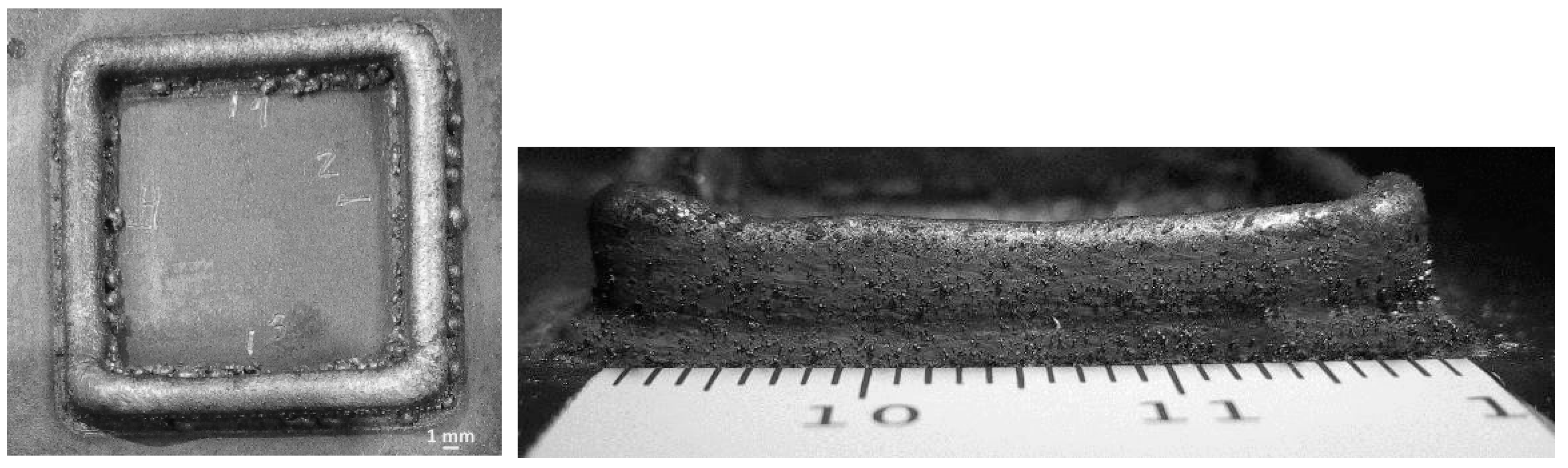 Jmmp 02 00055 g005