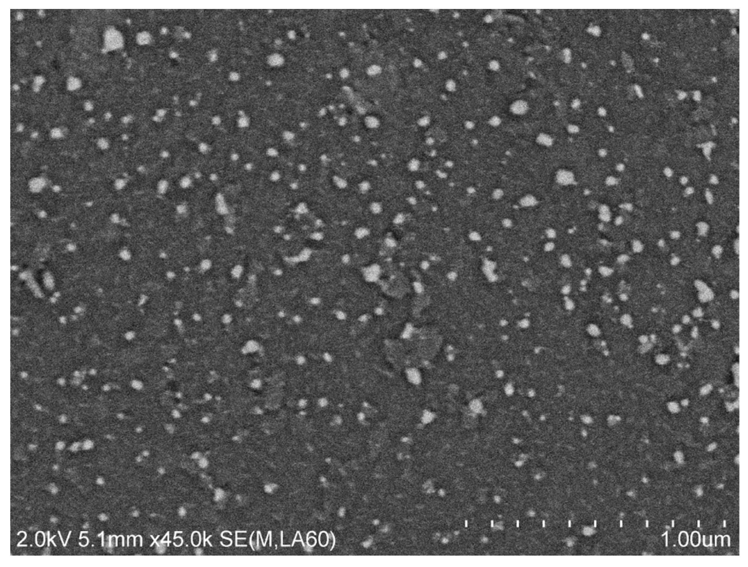 Jmmp 02 00075 g005