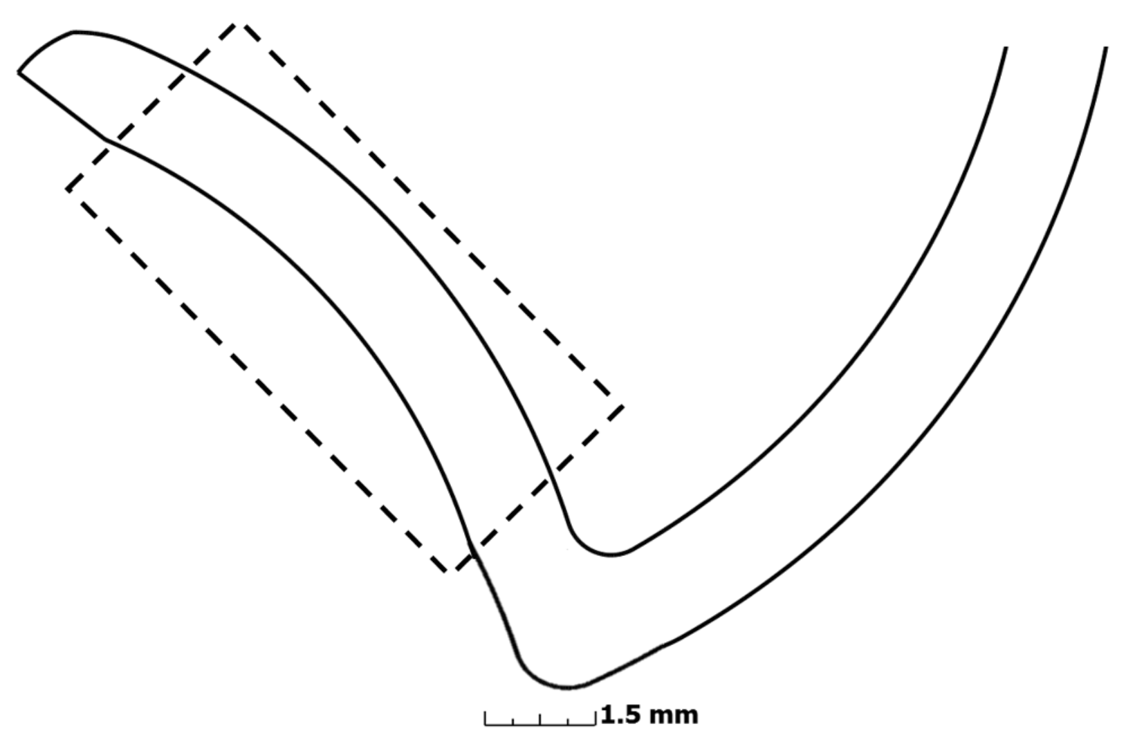 Jmmp 03 00013 g001
