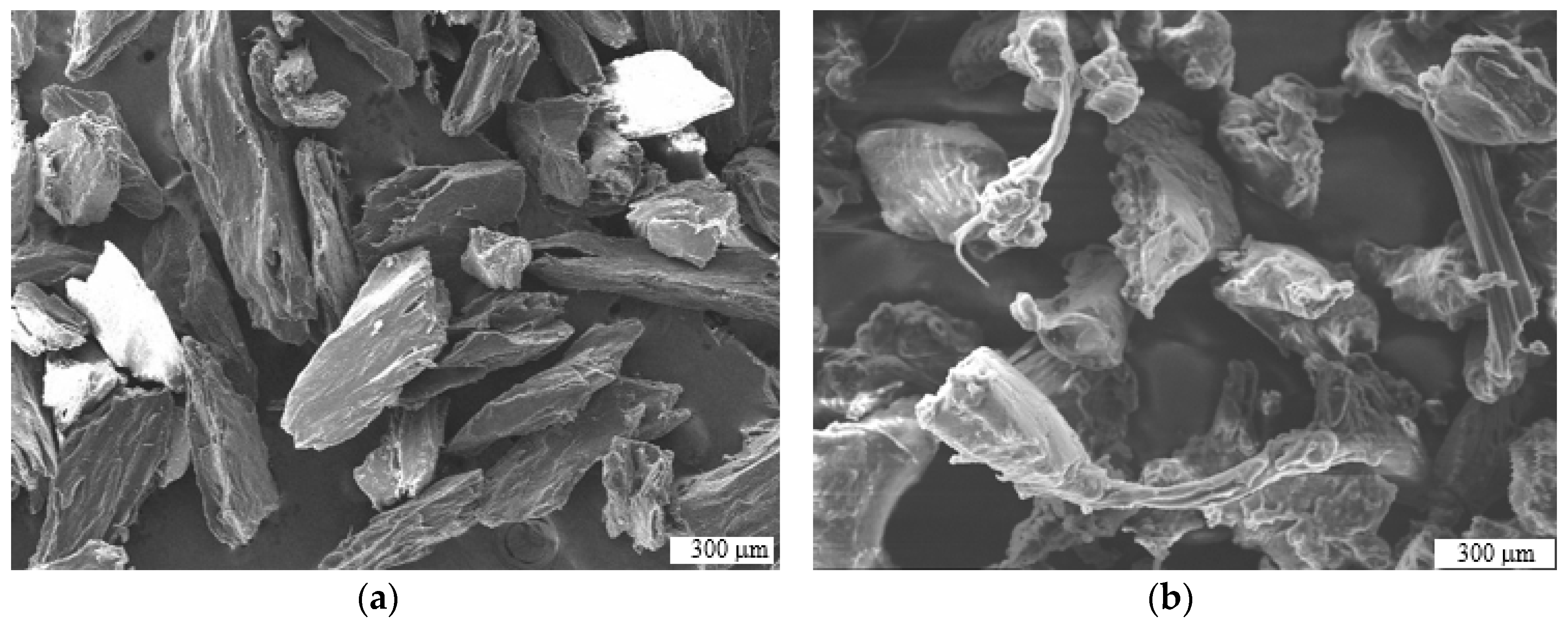 Jmmp 03 00030 g005 Jmmp 03 00030 g005