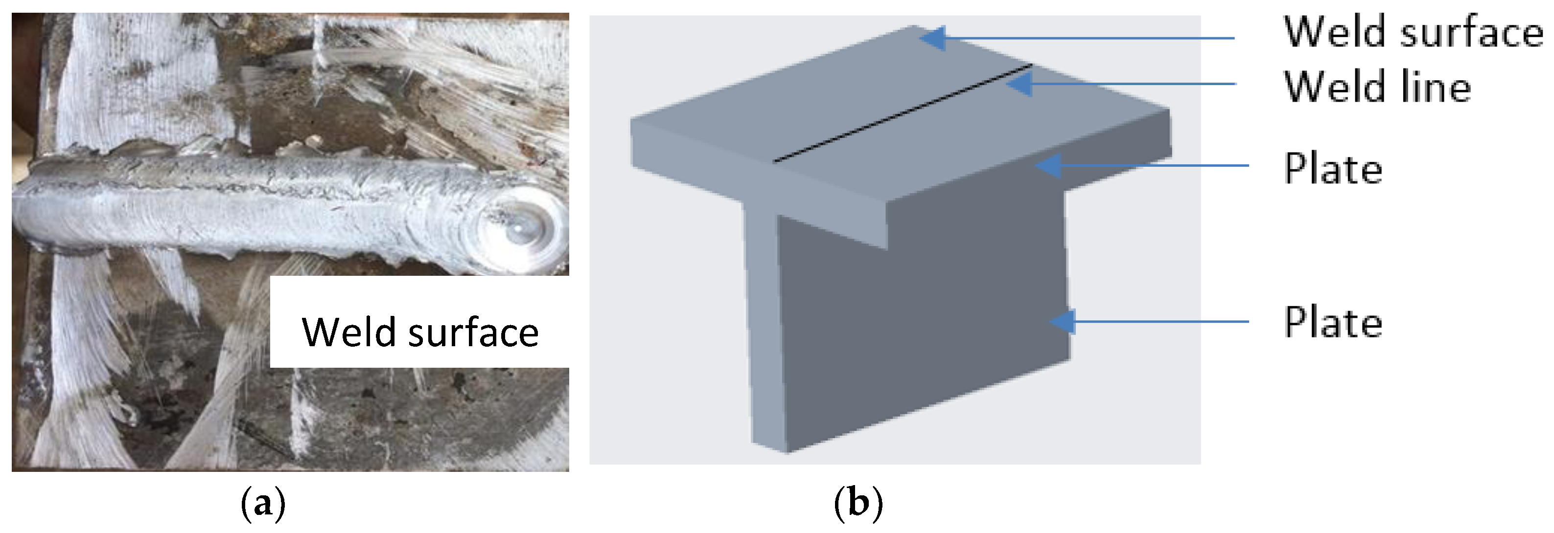 Jmmp 03 00038 g006 550