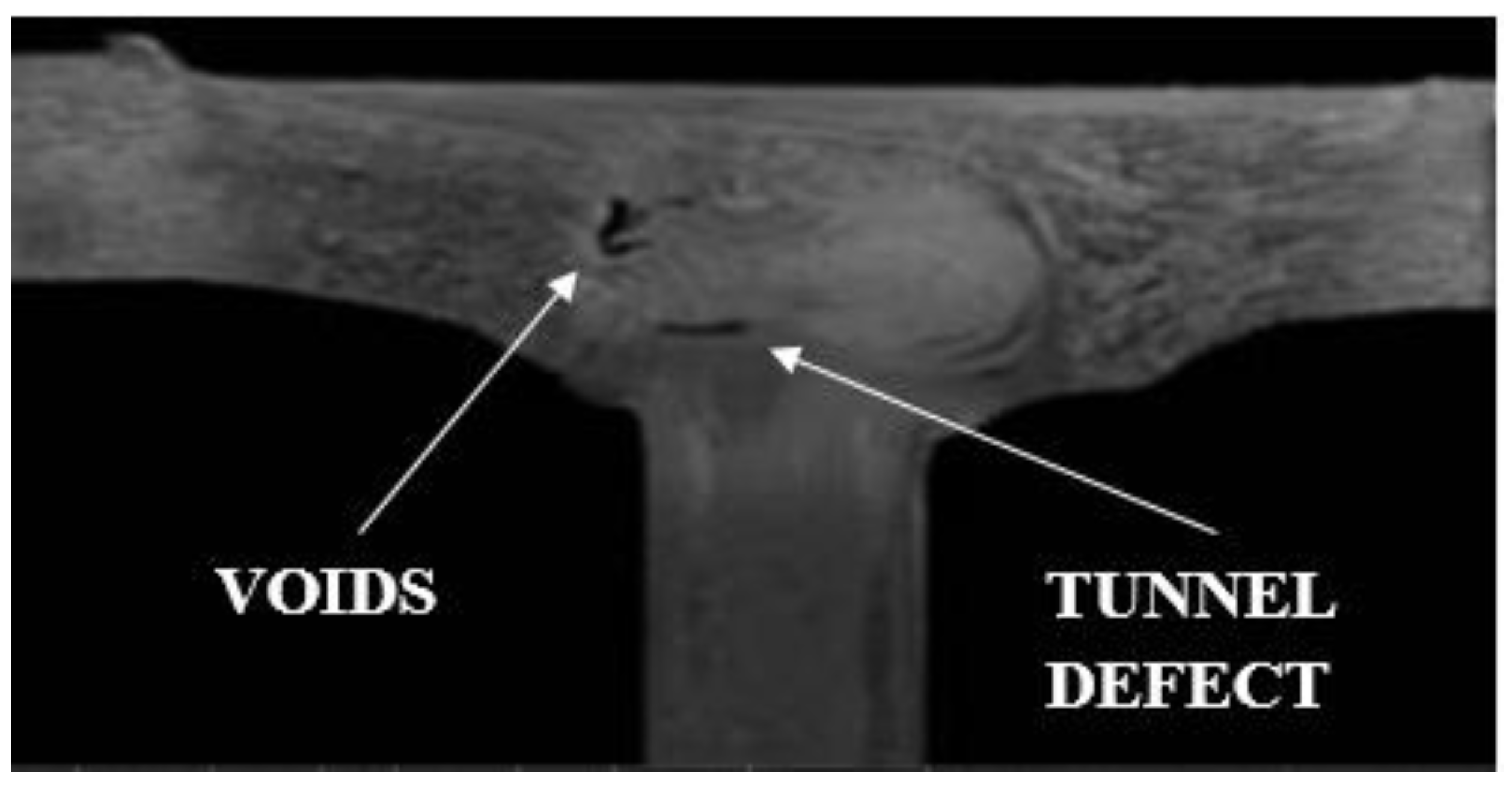 Jmmp 03 00038 g008 550