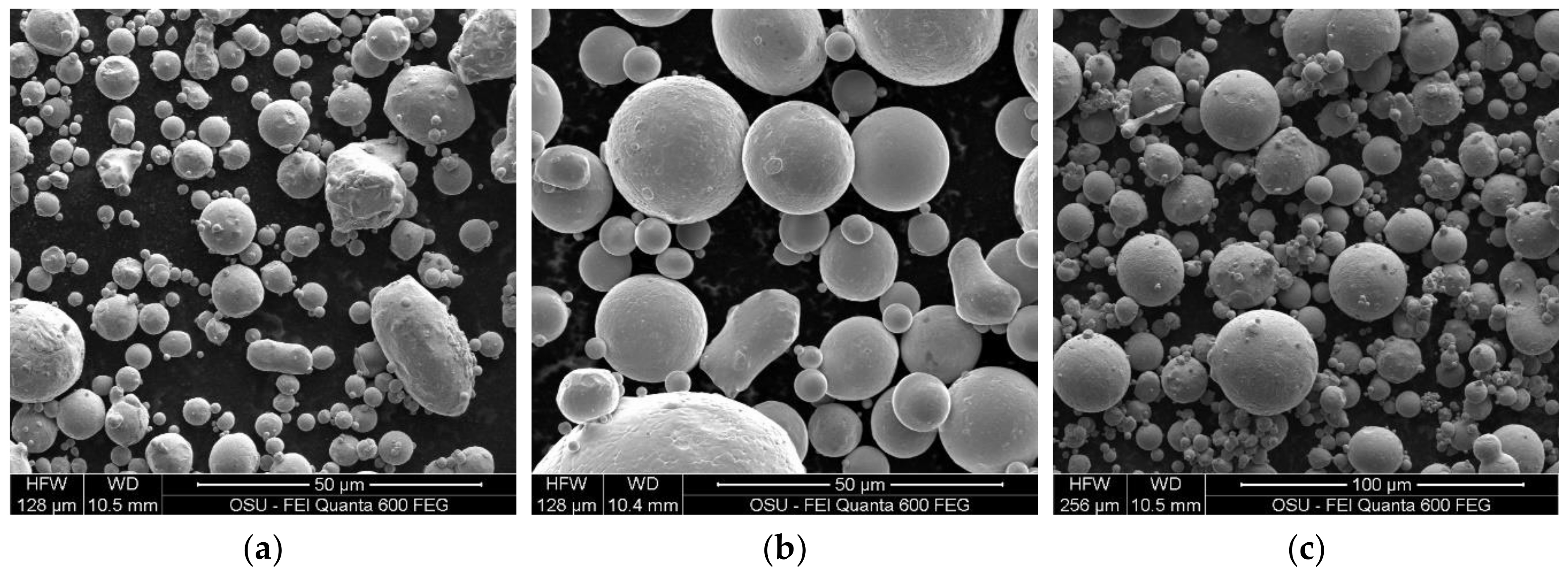 Jmmp 04 00008 g002 Jmmp 04 00008 g002