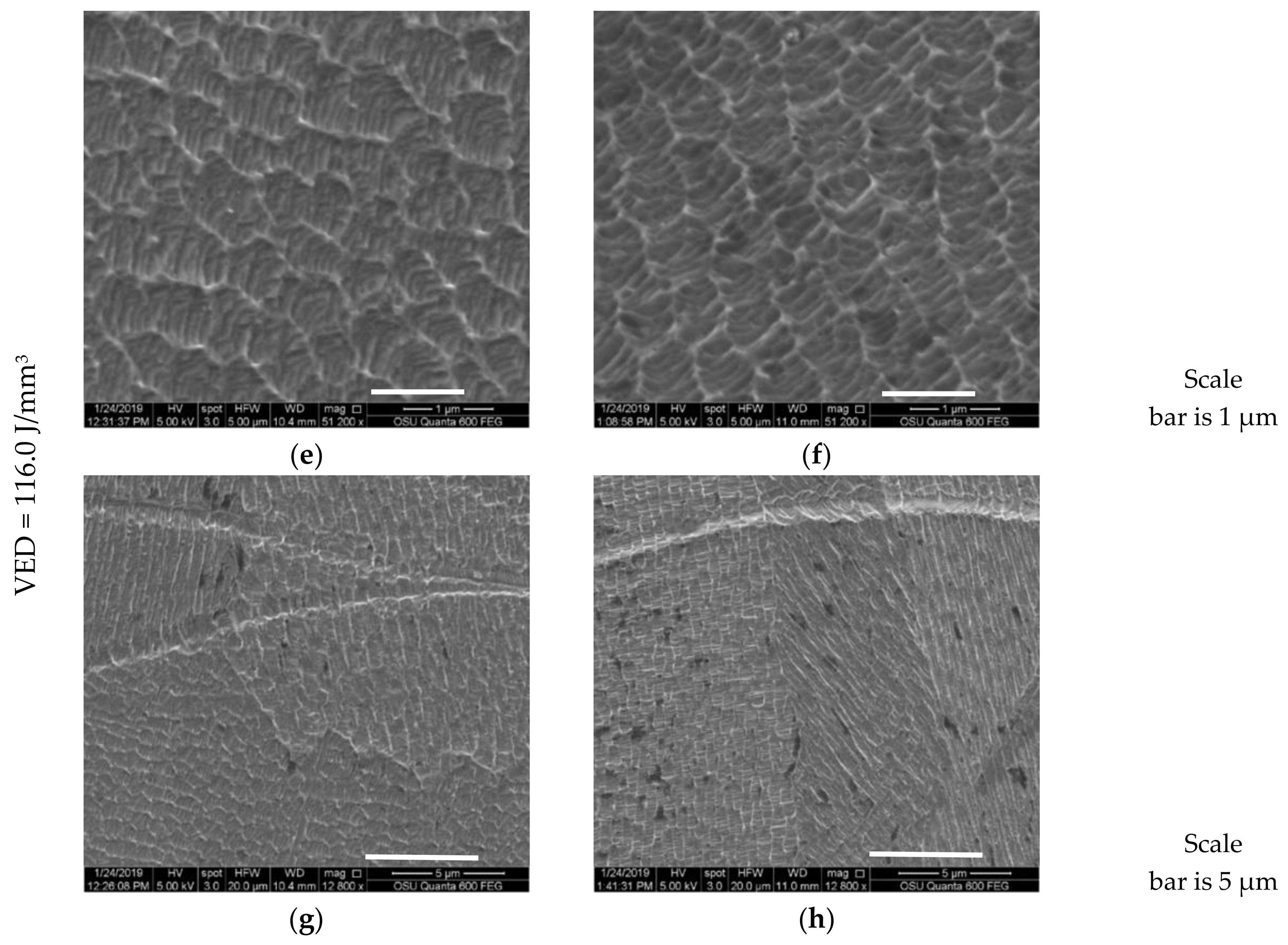 Jmmp Free Full Text Use Of Bimodal Particle Size Distribution In Selective Laser Melting Of 316l Stainless Steel Html