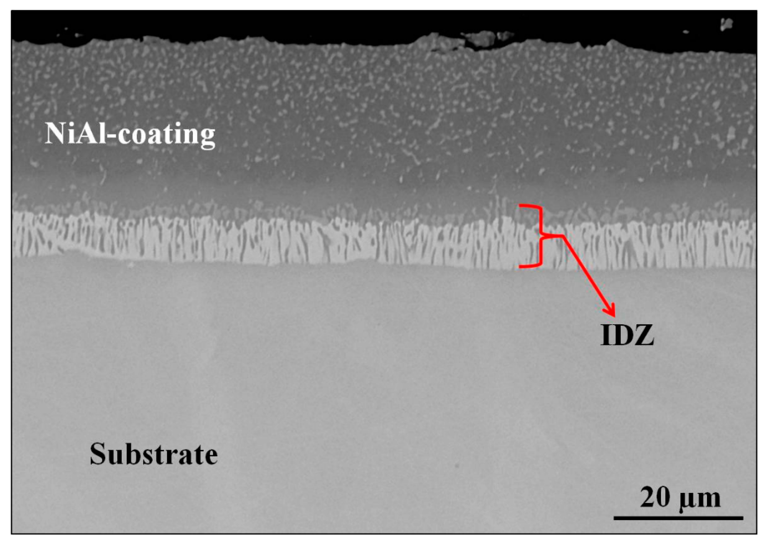 Jmmp 04 00015 g001 Jmmp 04 00015 g001