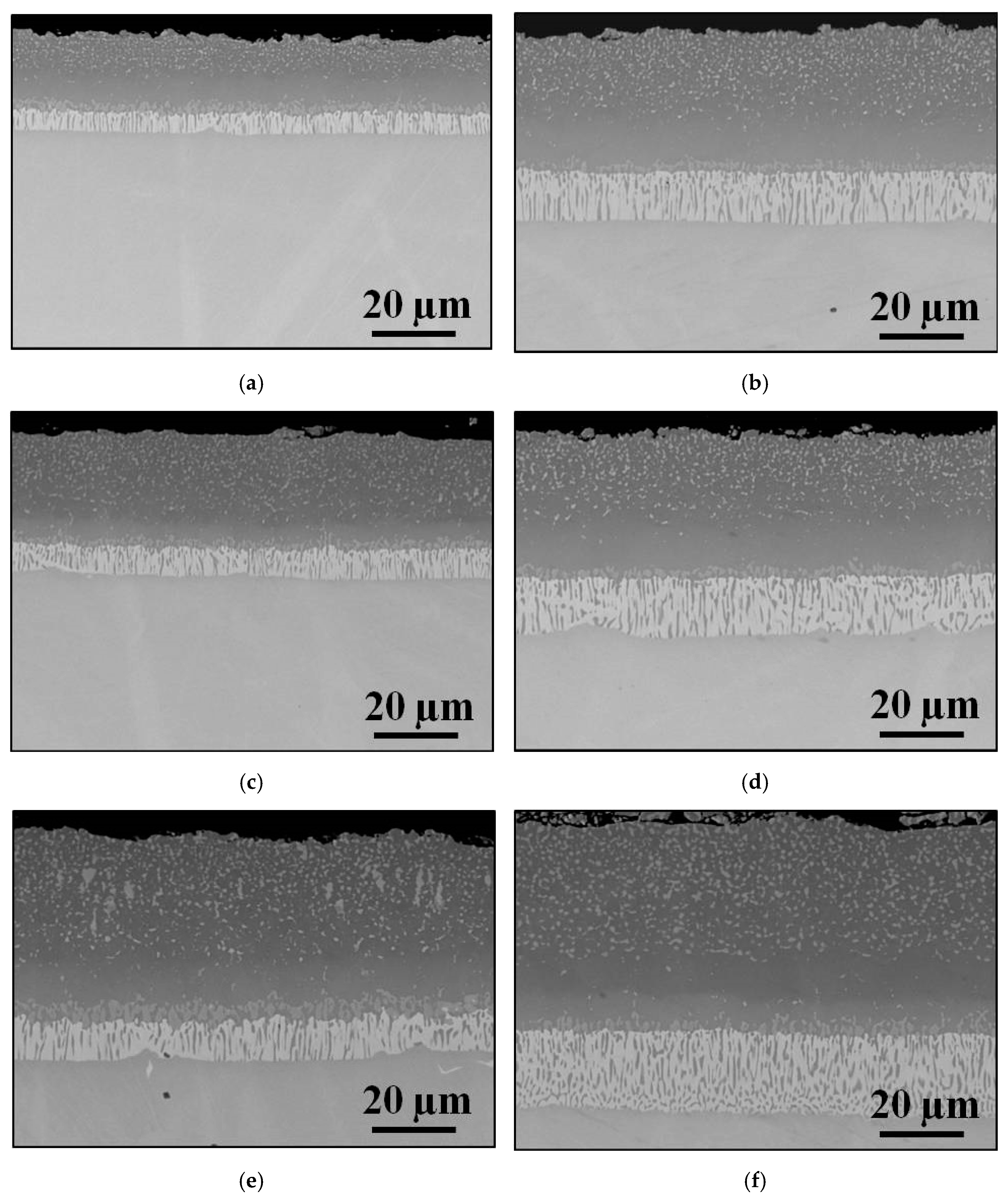 Jmmp 04 00015 g005 Jmmp 04 00015 g005