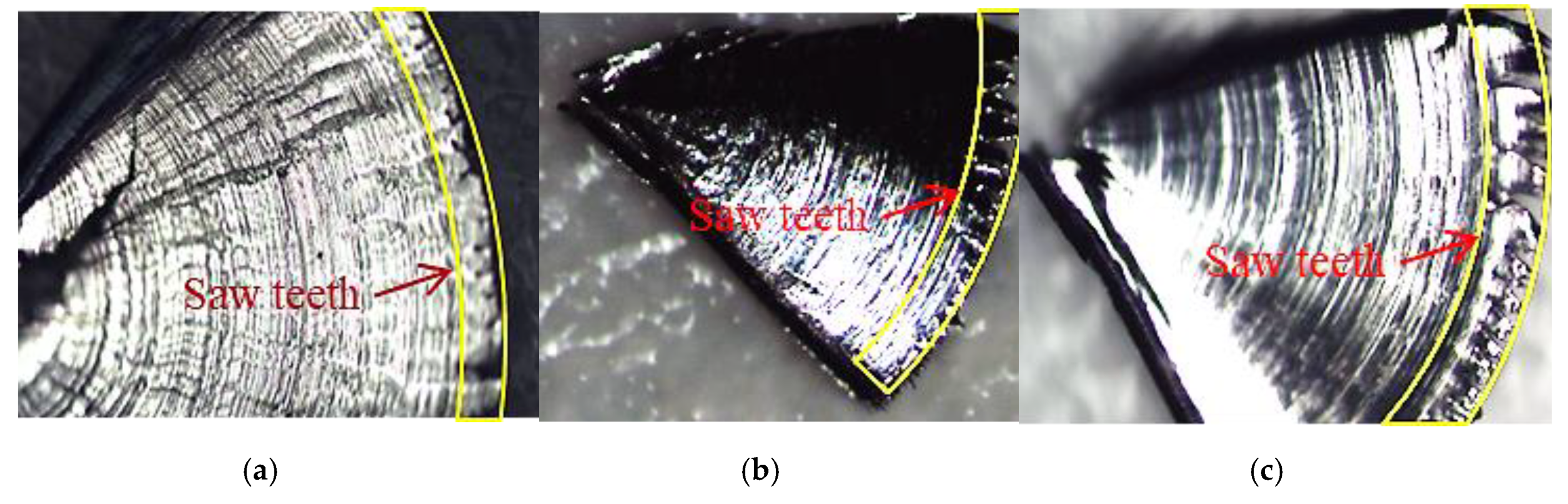 Jmmp 04 00032 g014 Jmmp 04 00032 g014