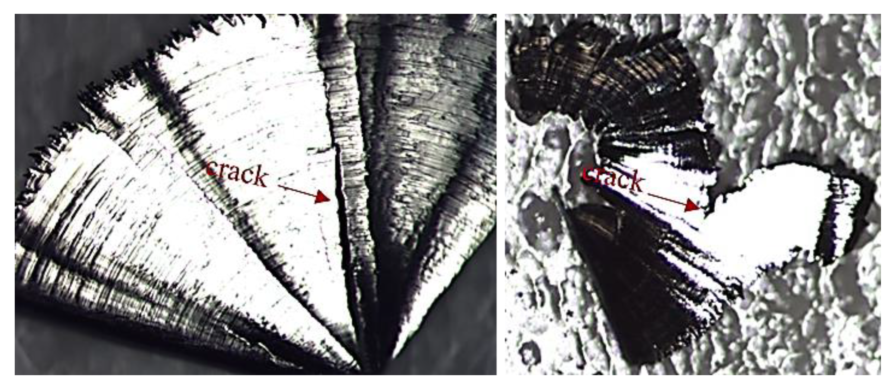 Jmmp 04 00032 g015 Jmmp 04 00032 g015