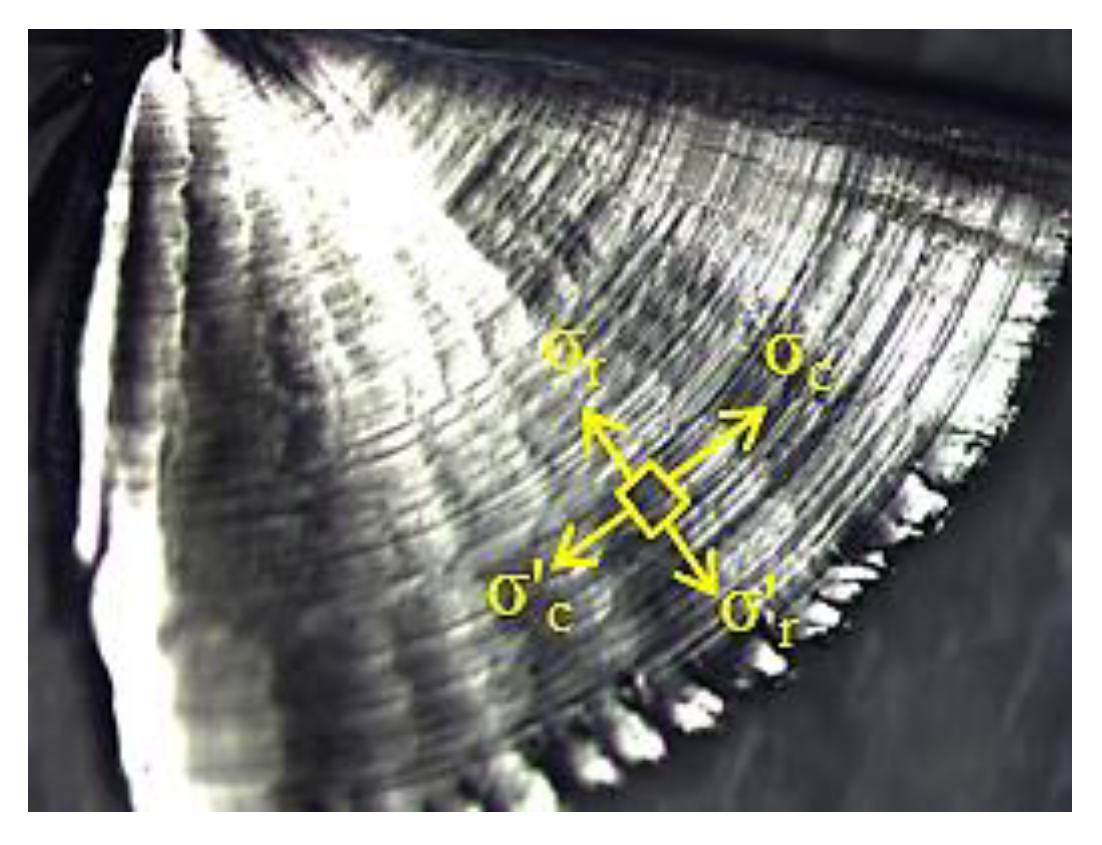 Jmmp 04 00032 g019 Jmmp 04 00032 g019