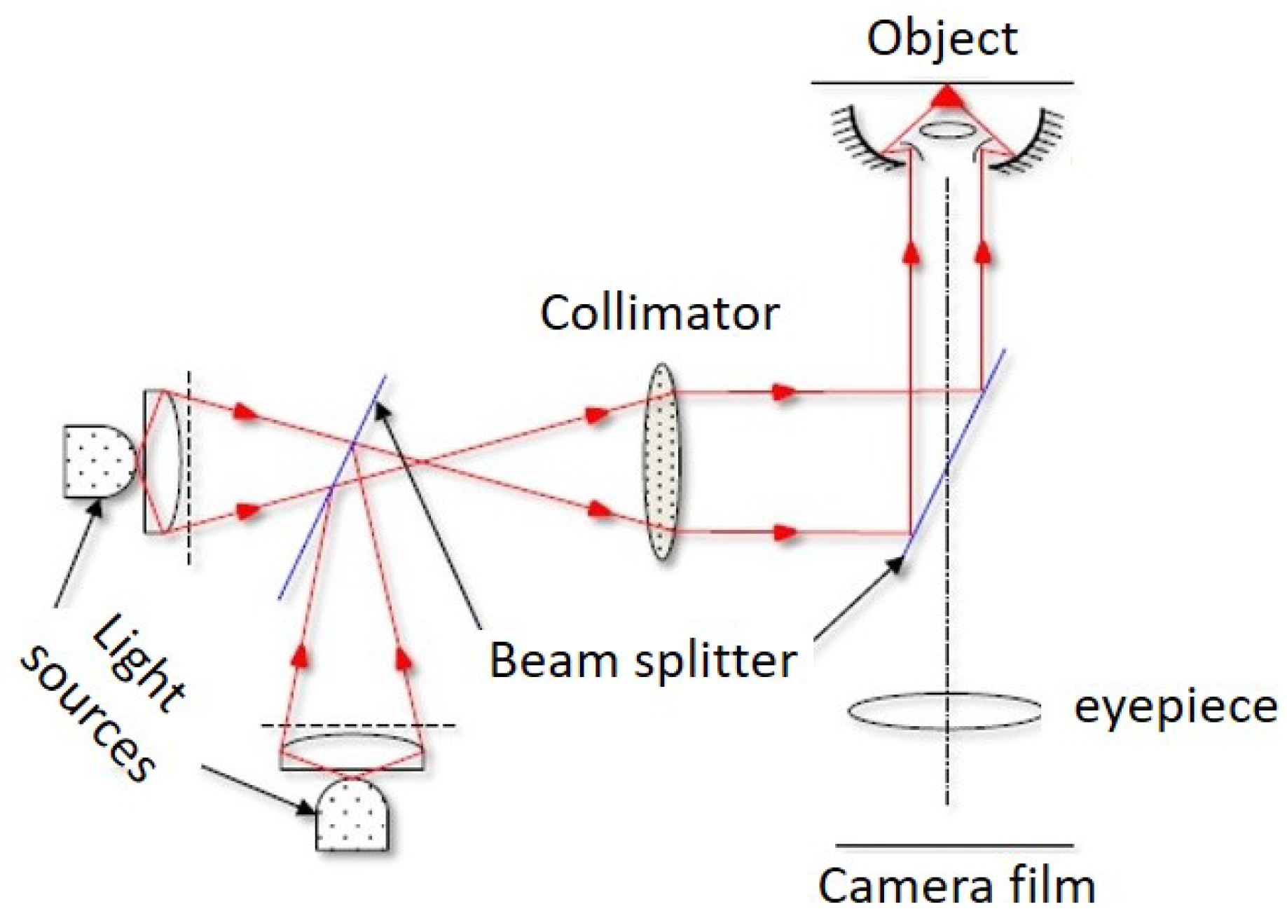 Jmmp 05 00007 g007 Jmmp 05 00007 g007