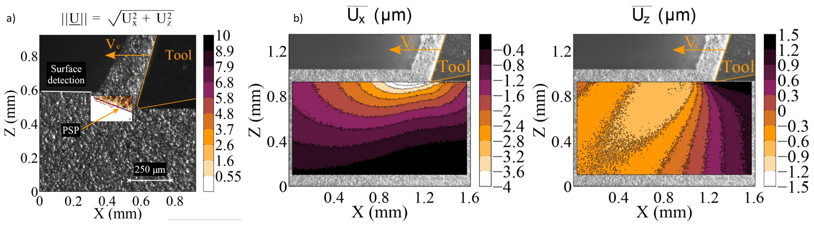 Jmmp 05 00007 g012 Jmmp 05 00007 g012