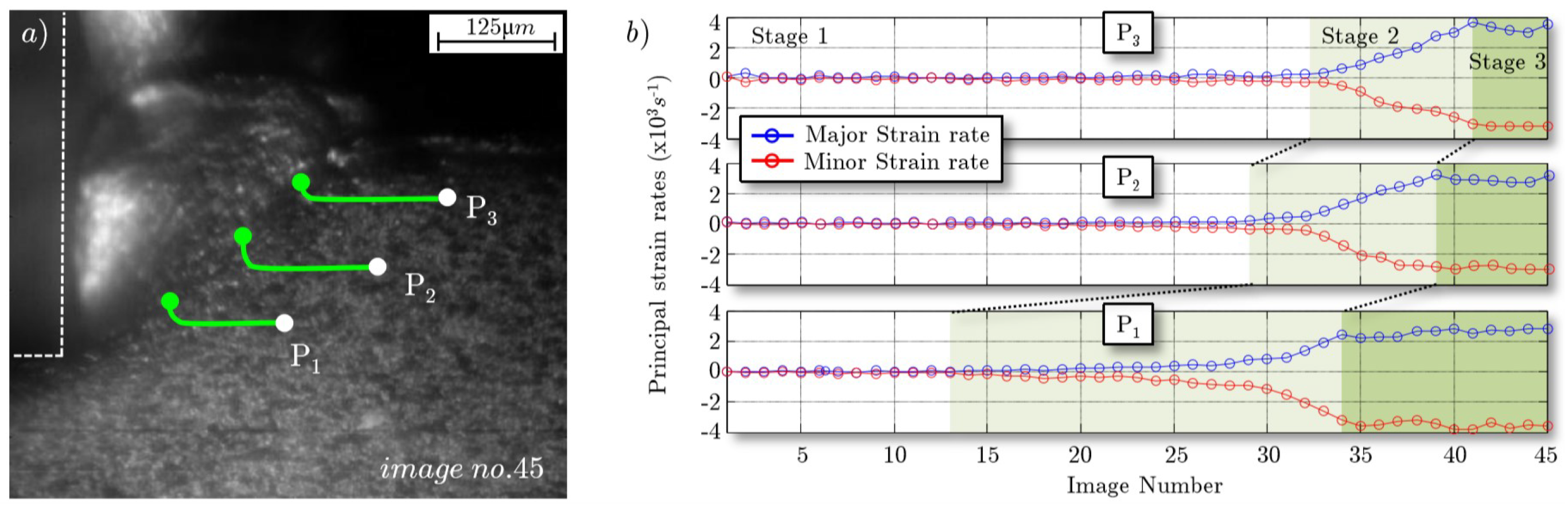 Jmmp 05 00007 g013 Jmmp 05 00007 g013