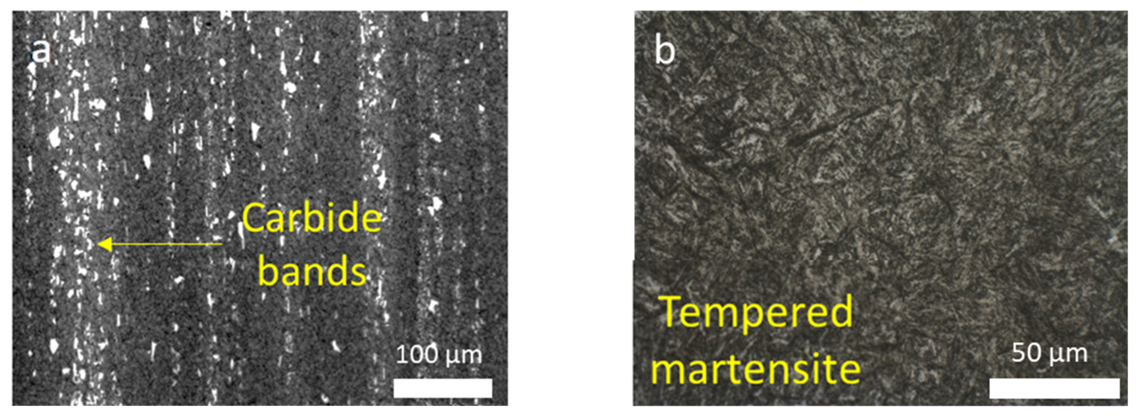 Jmmp 05 00015 g001a Jmmp 05 00015 g001a