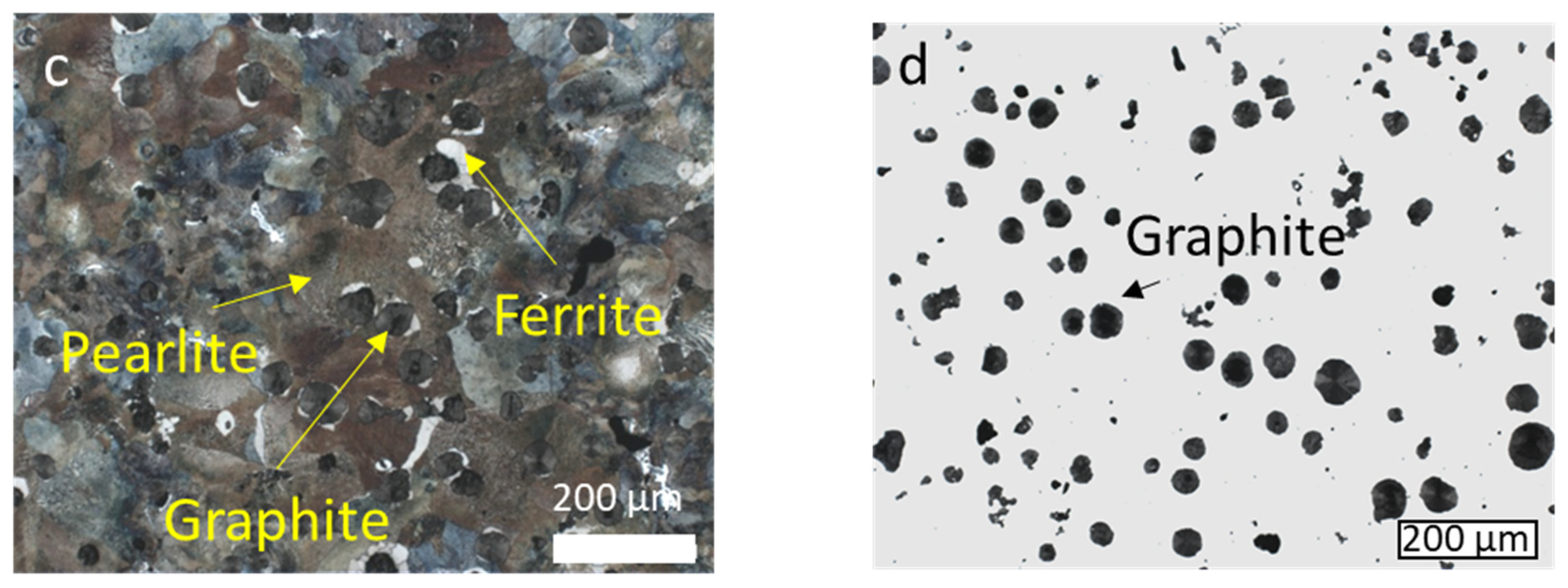 Jmmp 05 00015 g001b Jmmp 05 00015 g001b