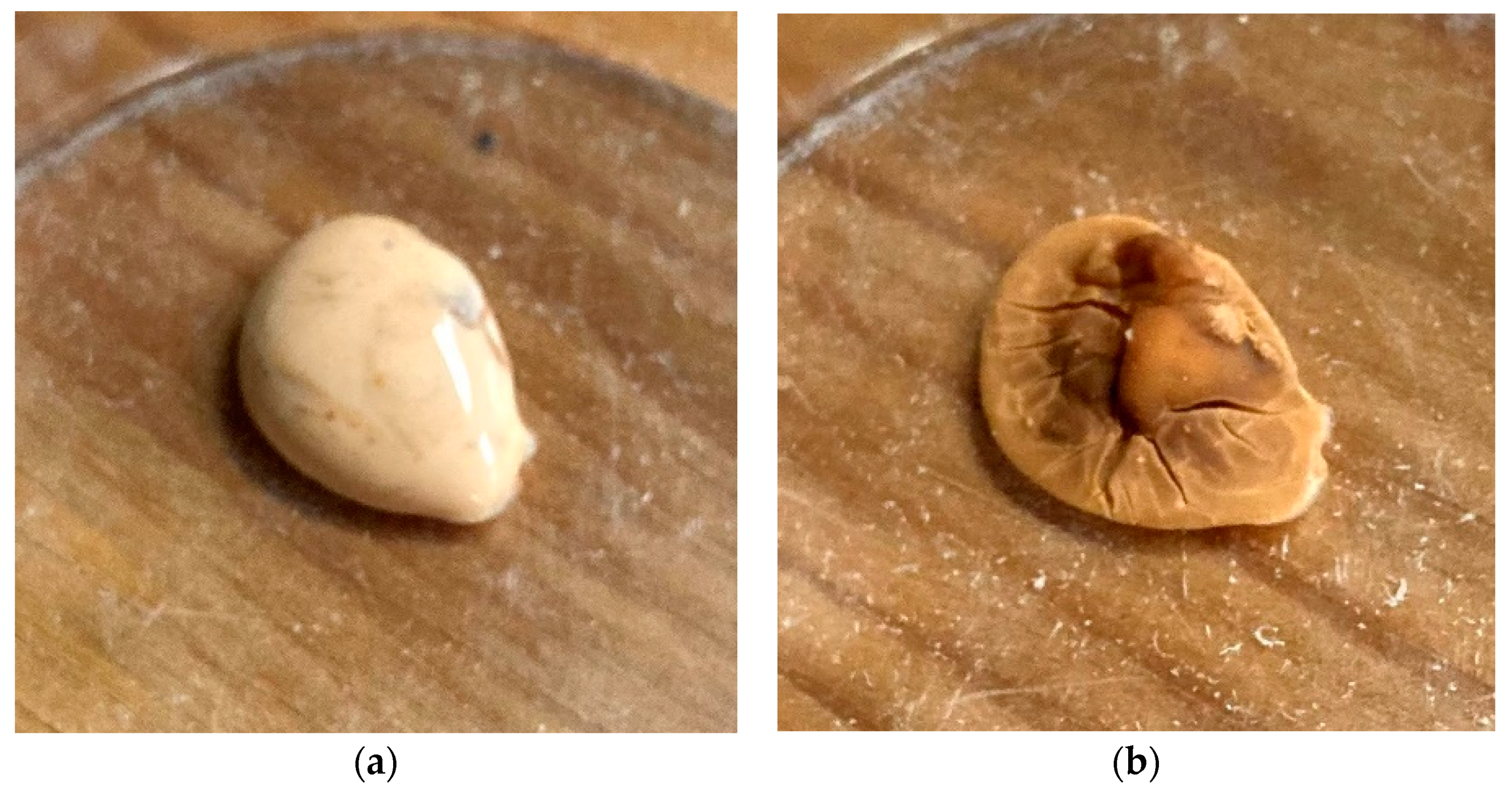 Jmmp 05 00052 g022 Jmmp 05 00052 g022