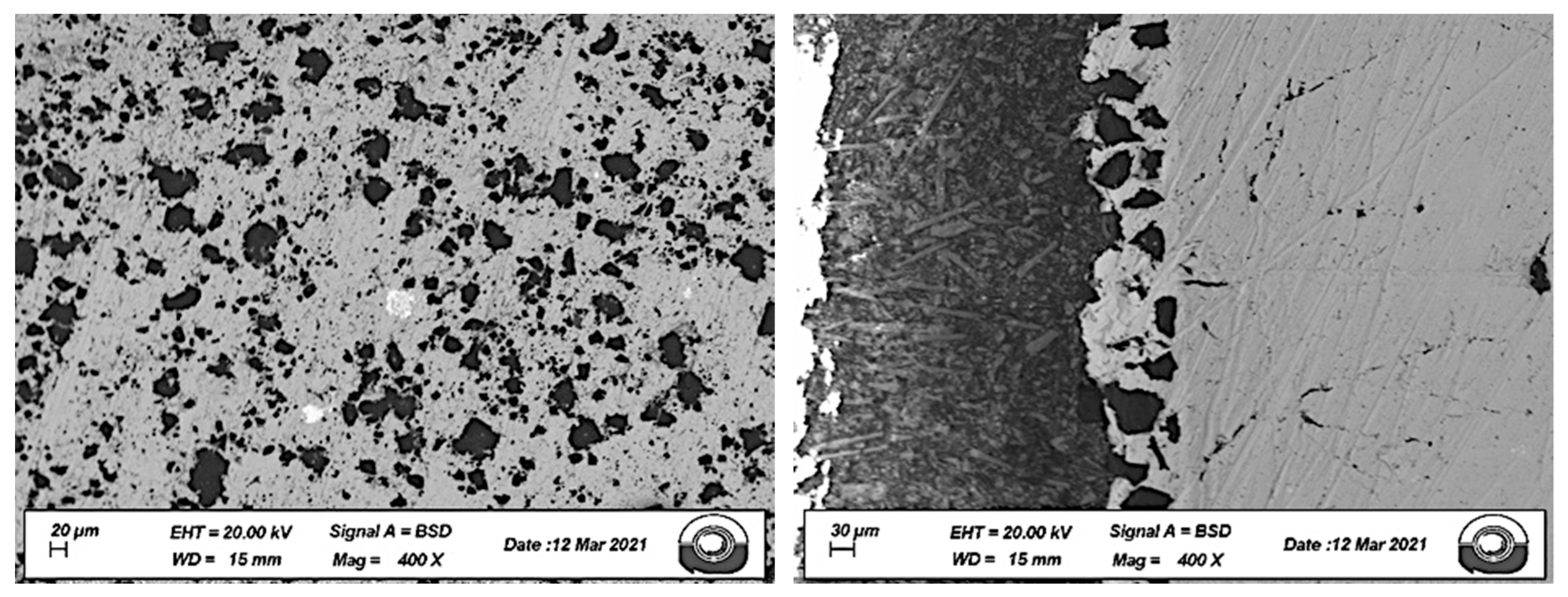 Jmmp 05 00081 g003 550