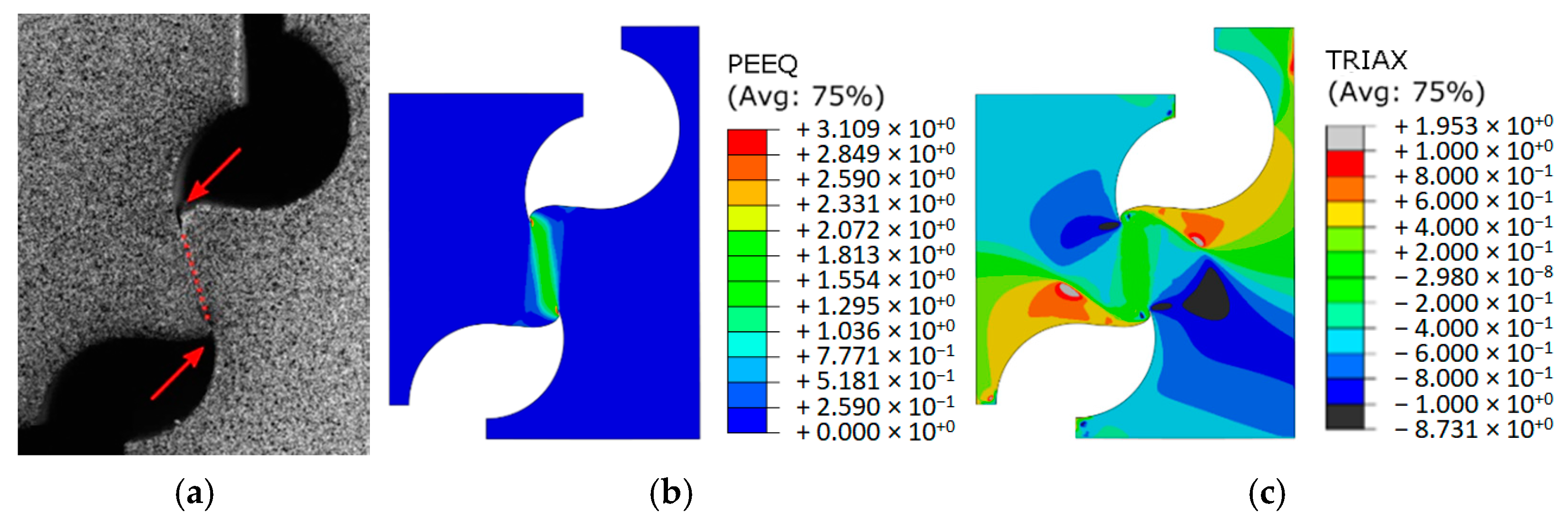 Jmmp 05 00083 g019 550