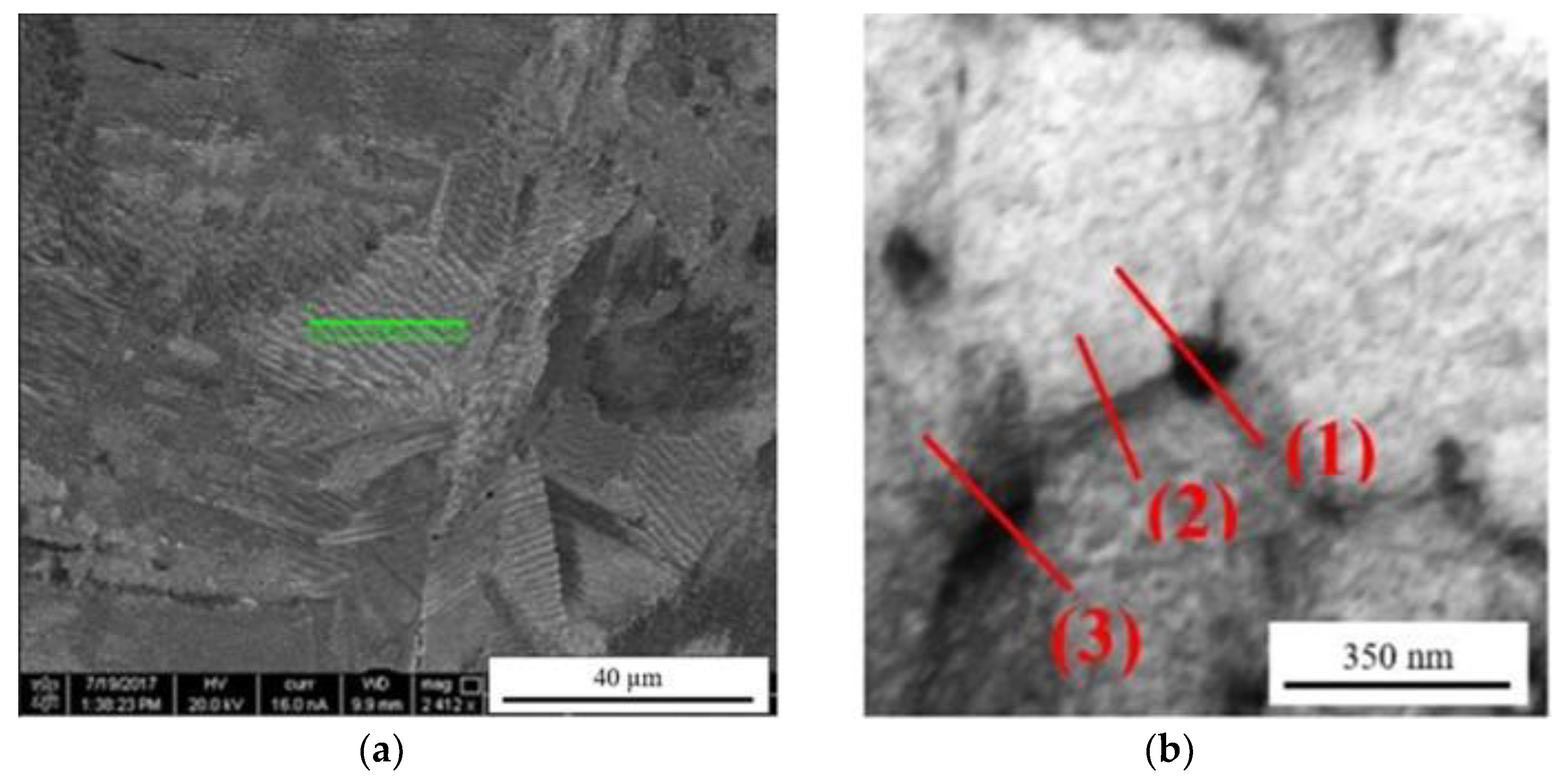 Jmmp 06 00020 g005 Jmmp 06 00020 g005