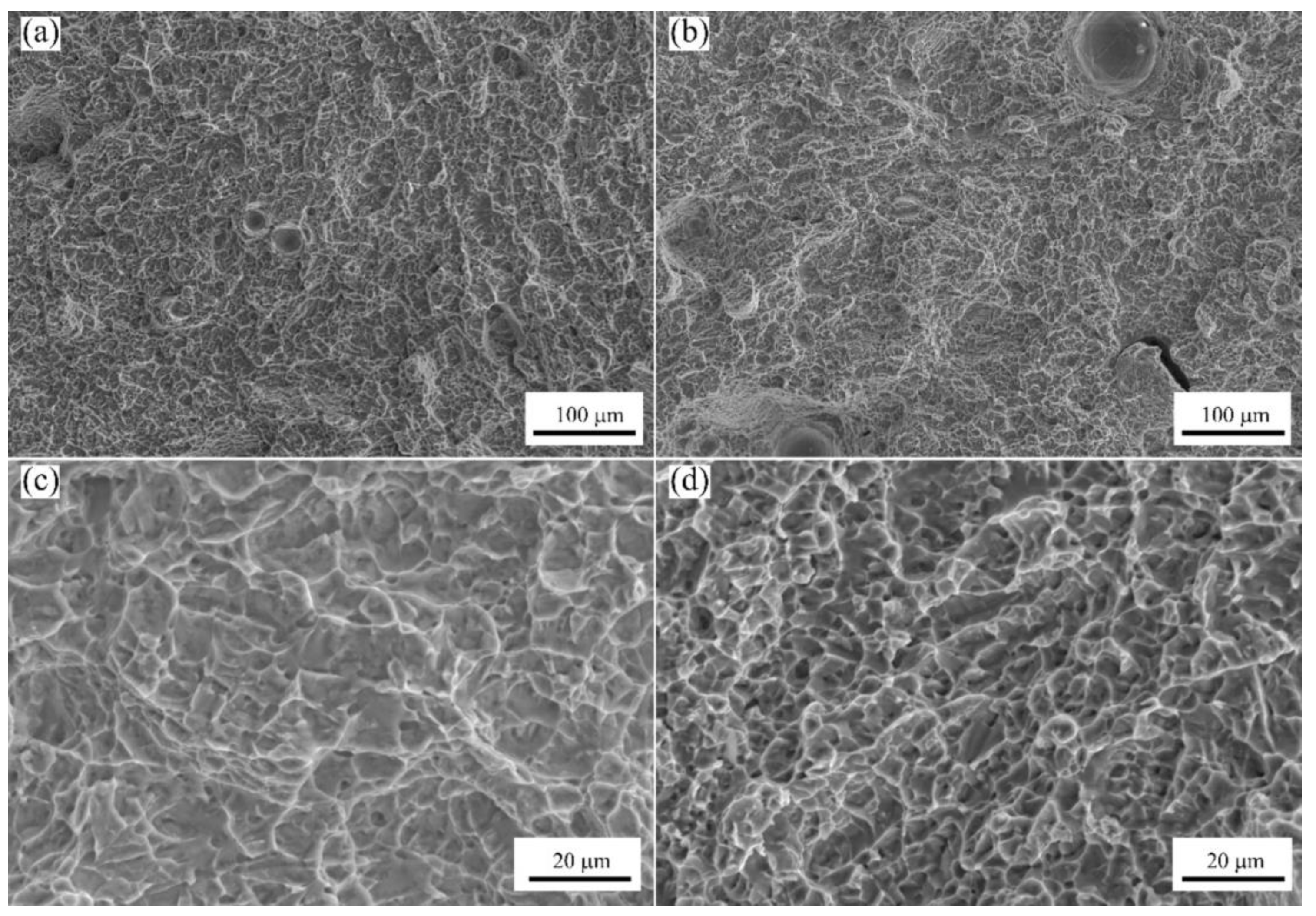 Jmmp 06 00021 g010 550