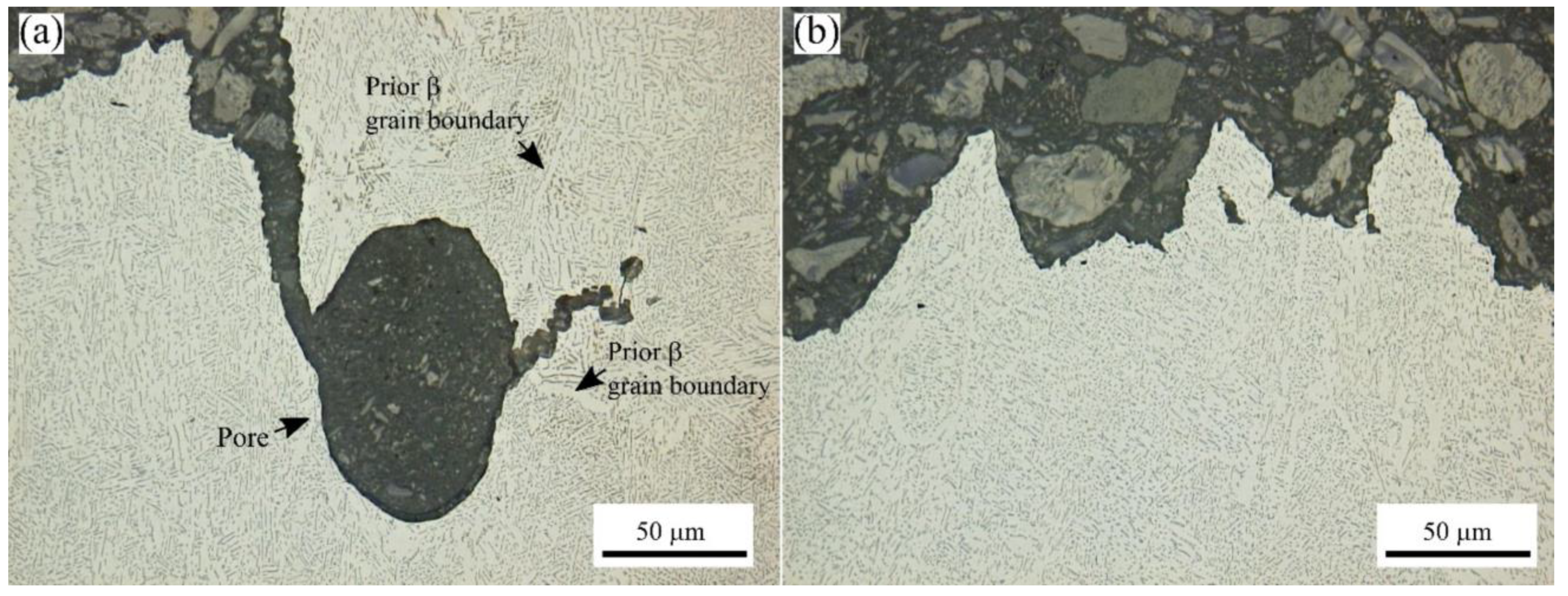 Jmmp 06 00021 g012 550