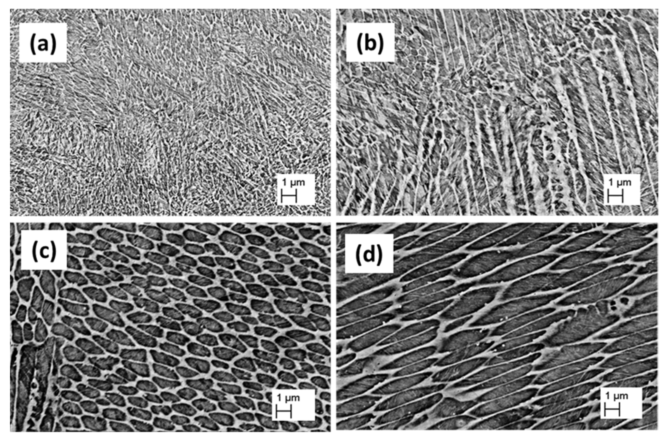 Jmmp 06 00063 g002 550