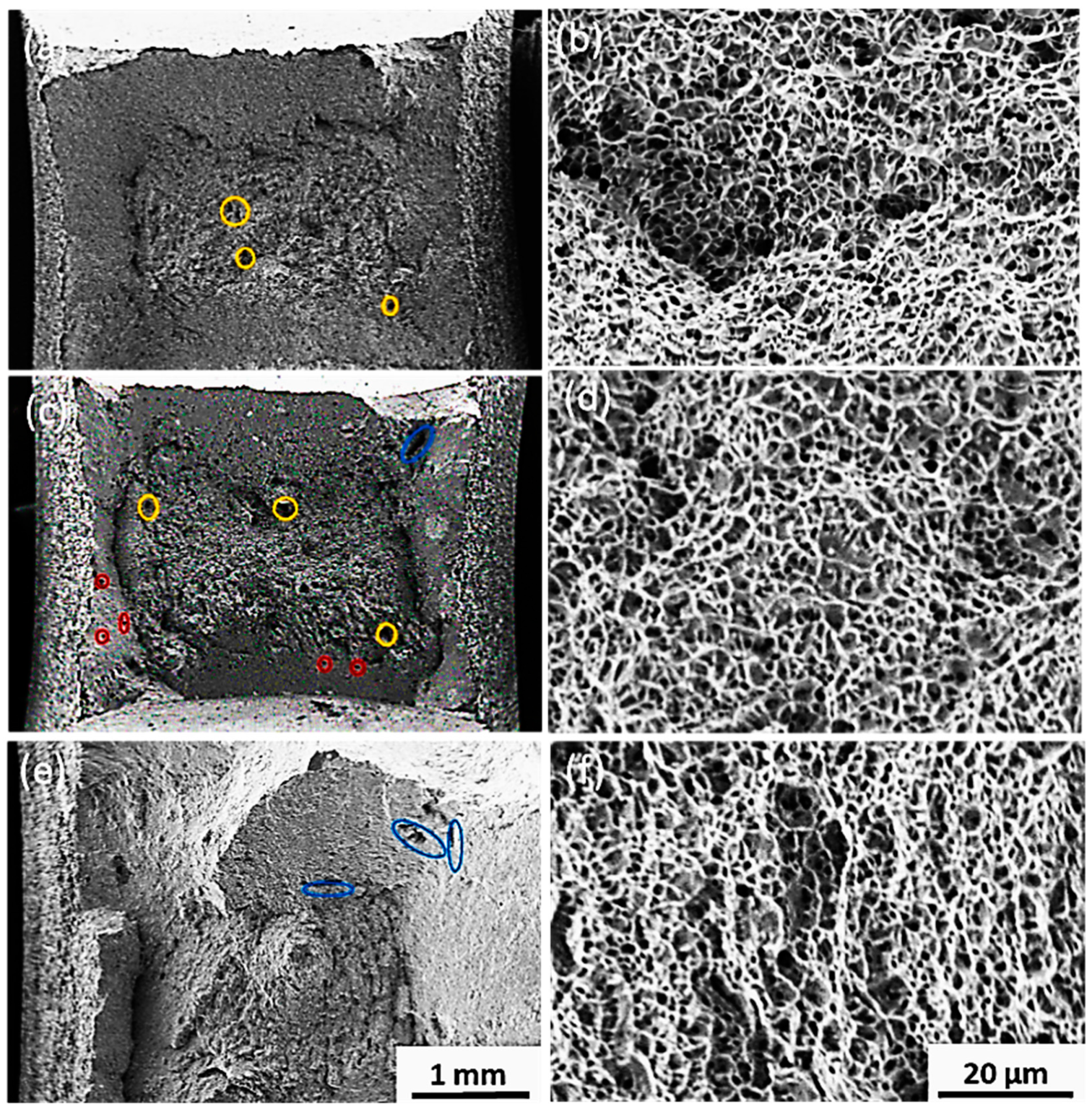 Jmmp 07 00003 g010 Jmmp 07 00003 g010