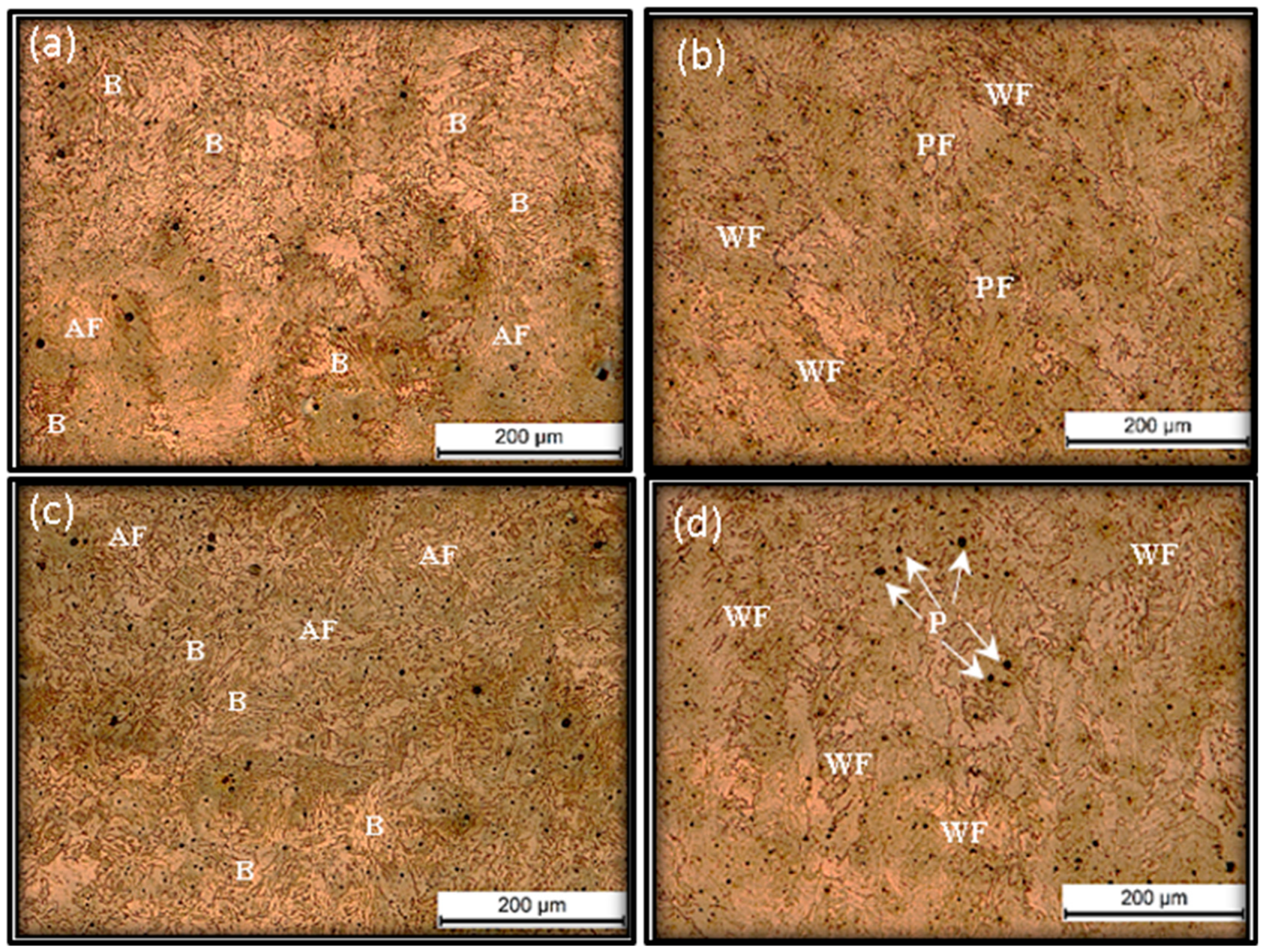 Jmmp 07 00003 g013 Jmmp 07 00003 g013