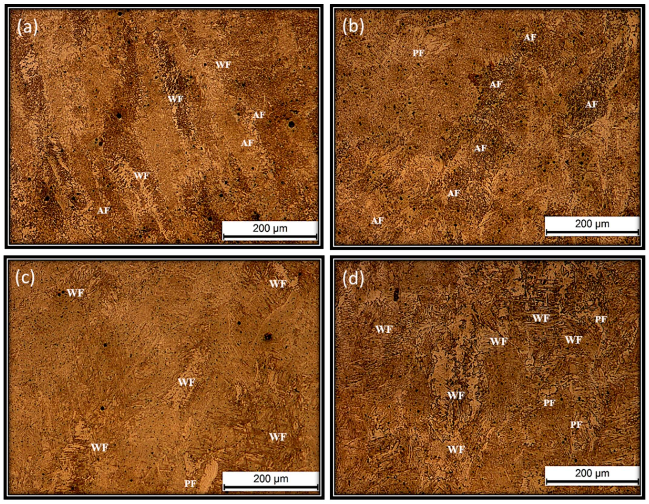 Jmmp 07 00003 g014 Jmmp 07 00003 g014