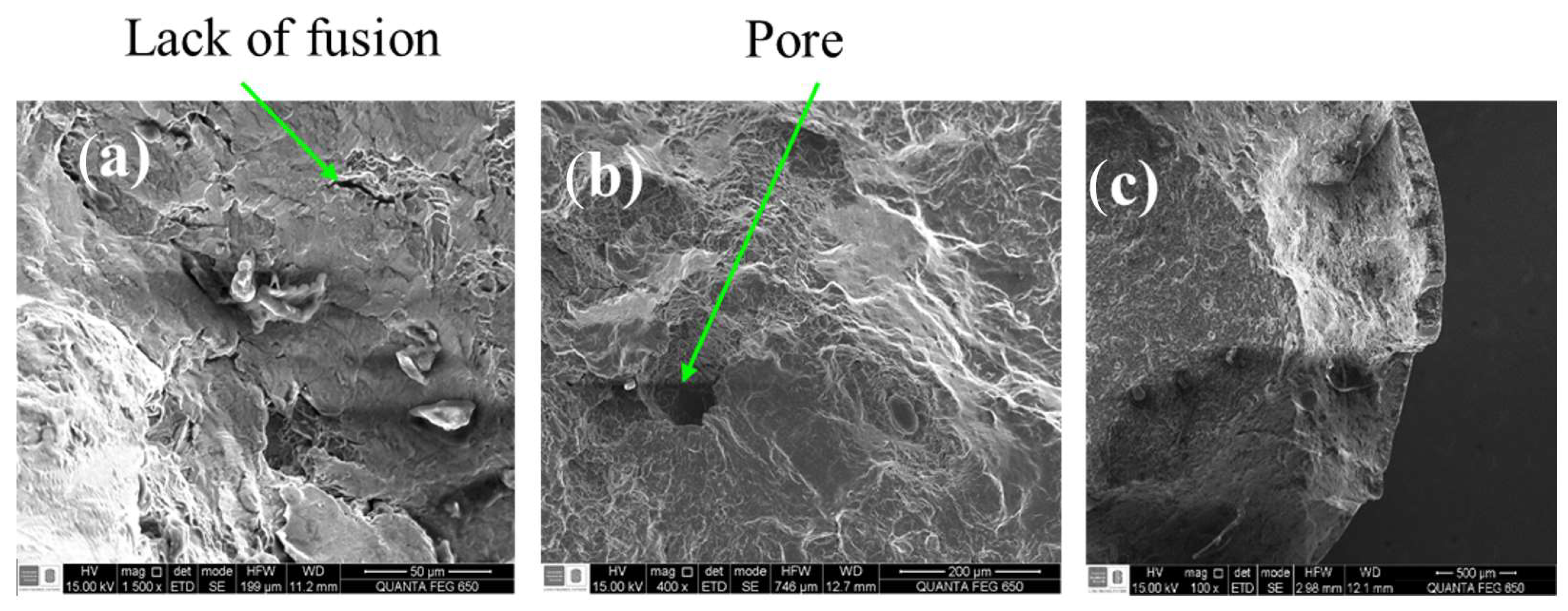 Jmmp 07 00025 g013 Jmmp 07 00025 g013