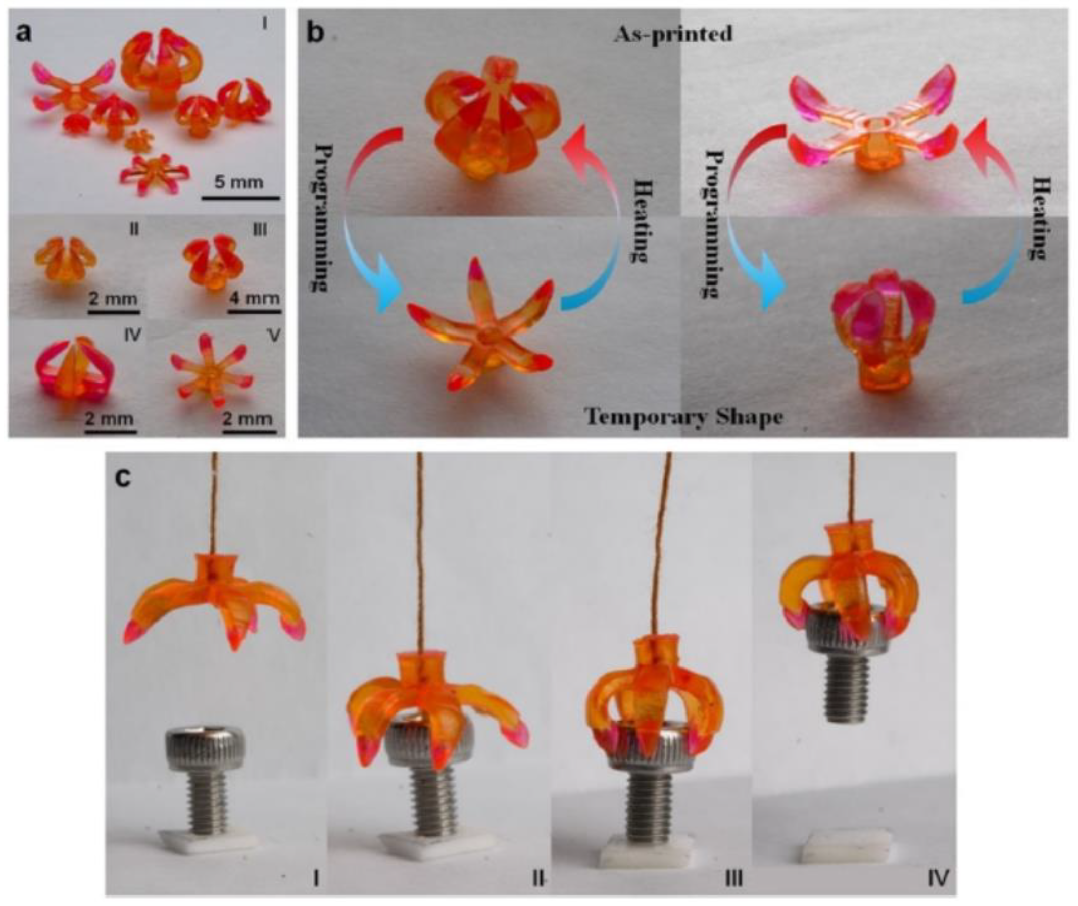 Jmmp 07 00035 g011 Jmmp 07 00035 g011