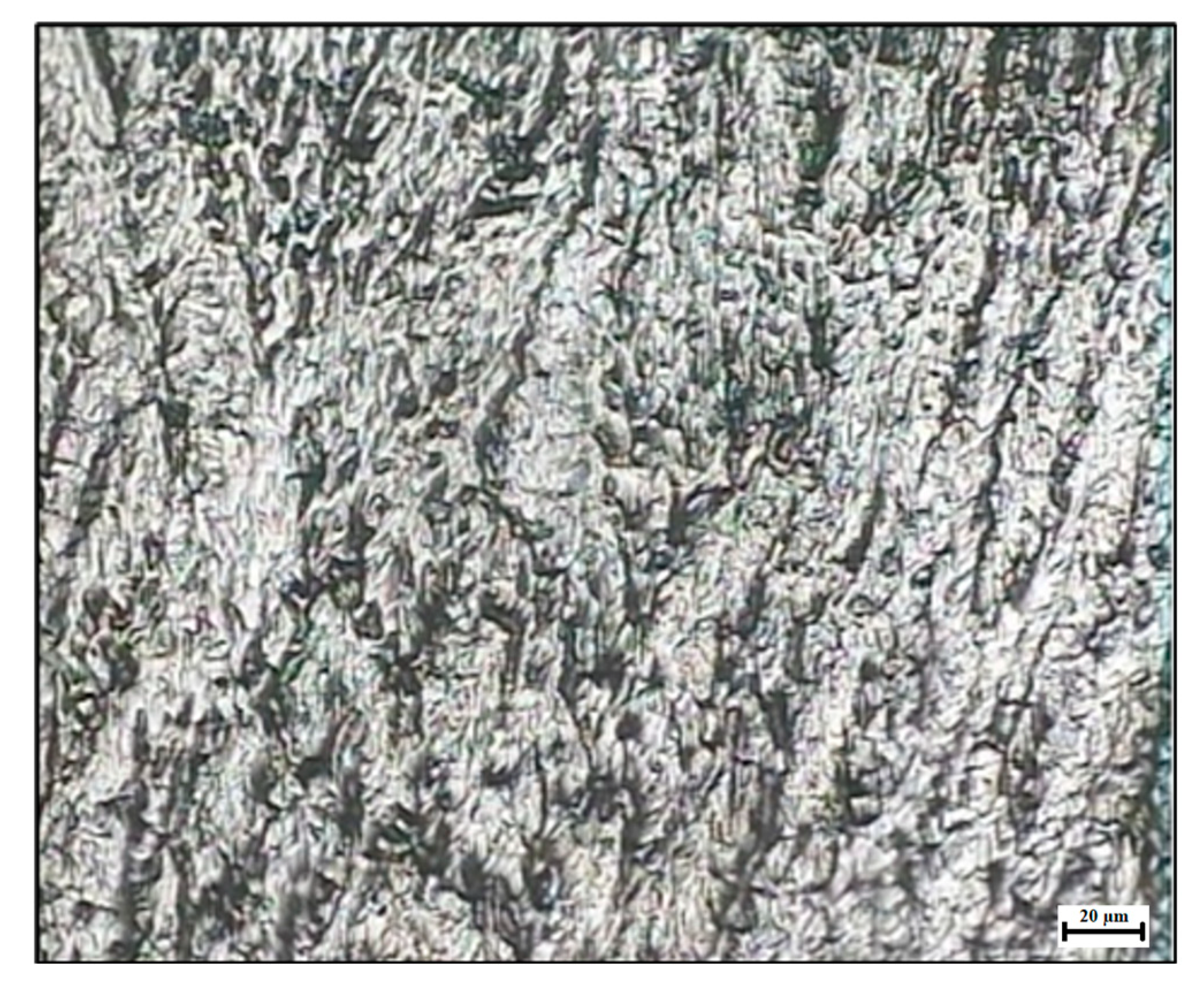 Jmmp 07 00039 g009 550