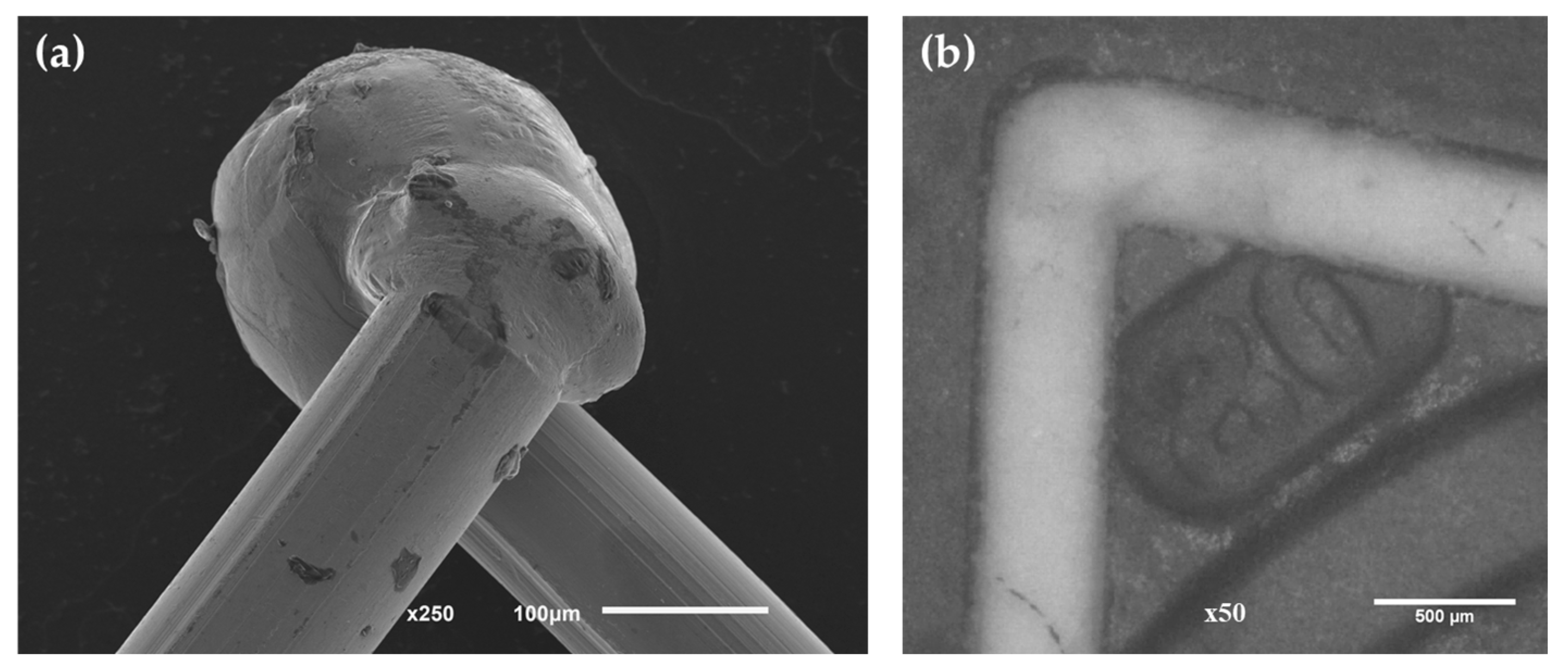 Jmmp 07 00050 g003 Jmmp 07 00050 g003