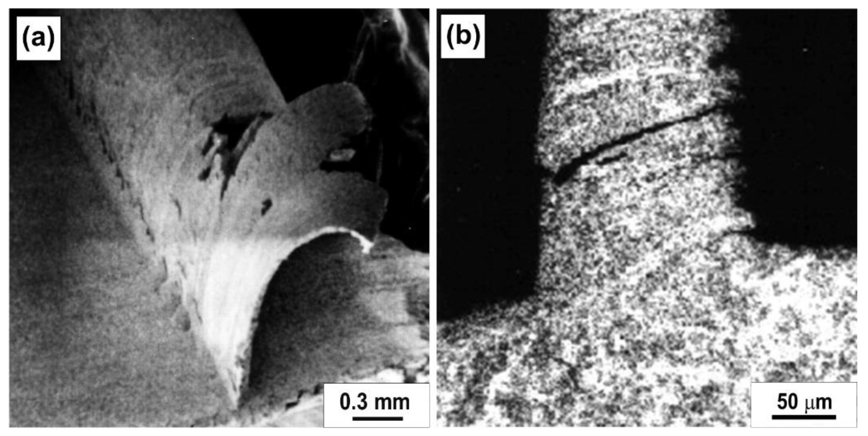 JMMP Free FullText The Chip Formation Process When Cutting High