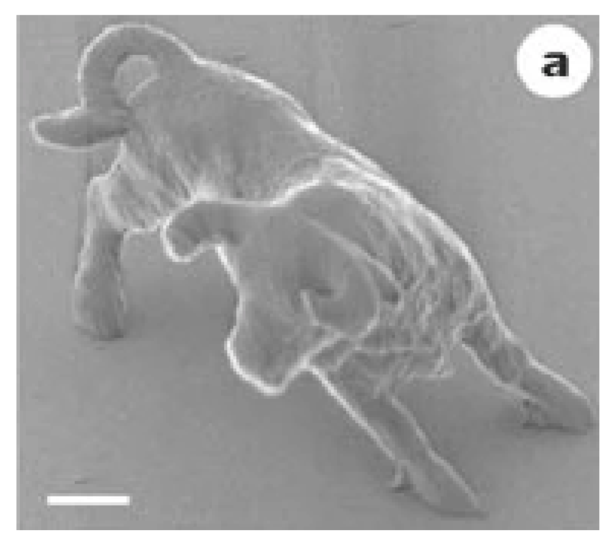 Jmmp 07 00089 g007 Jmmp 07 00089 g007