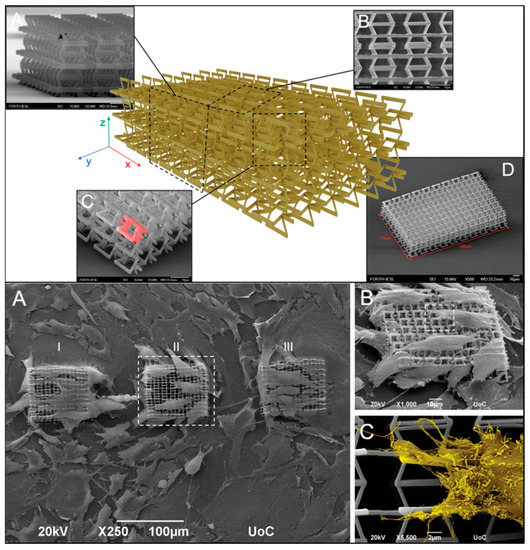Ultrafast Laser Additive Manufacturing: A Review