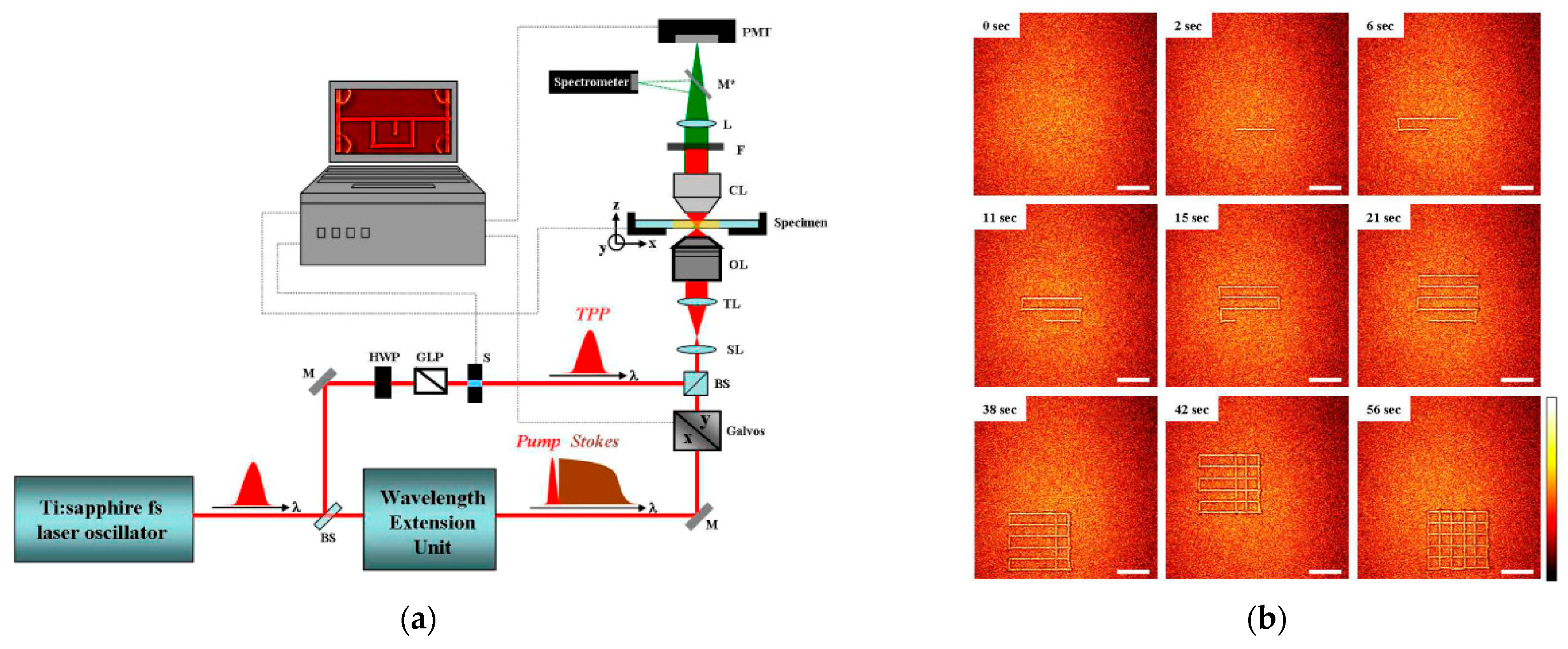 Jmmp 07 00089 g020 Jmmp 07 00089 g020