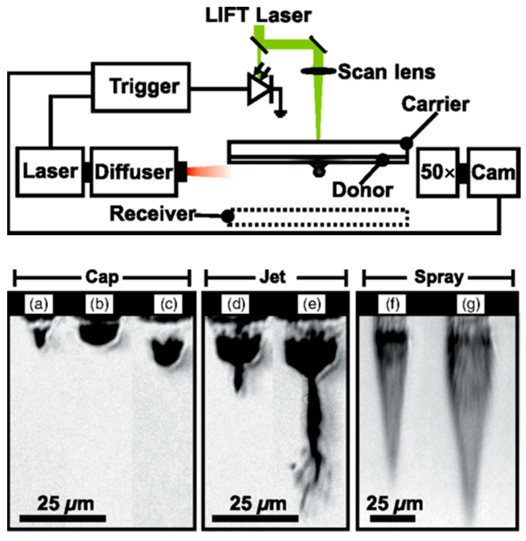Jmmp 07 00089 g023 Jmmp 07 00089 g023