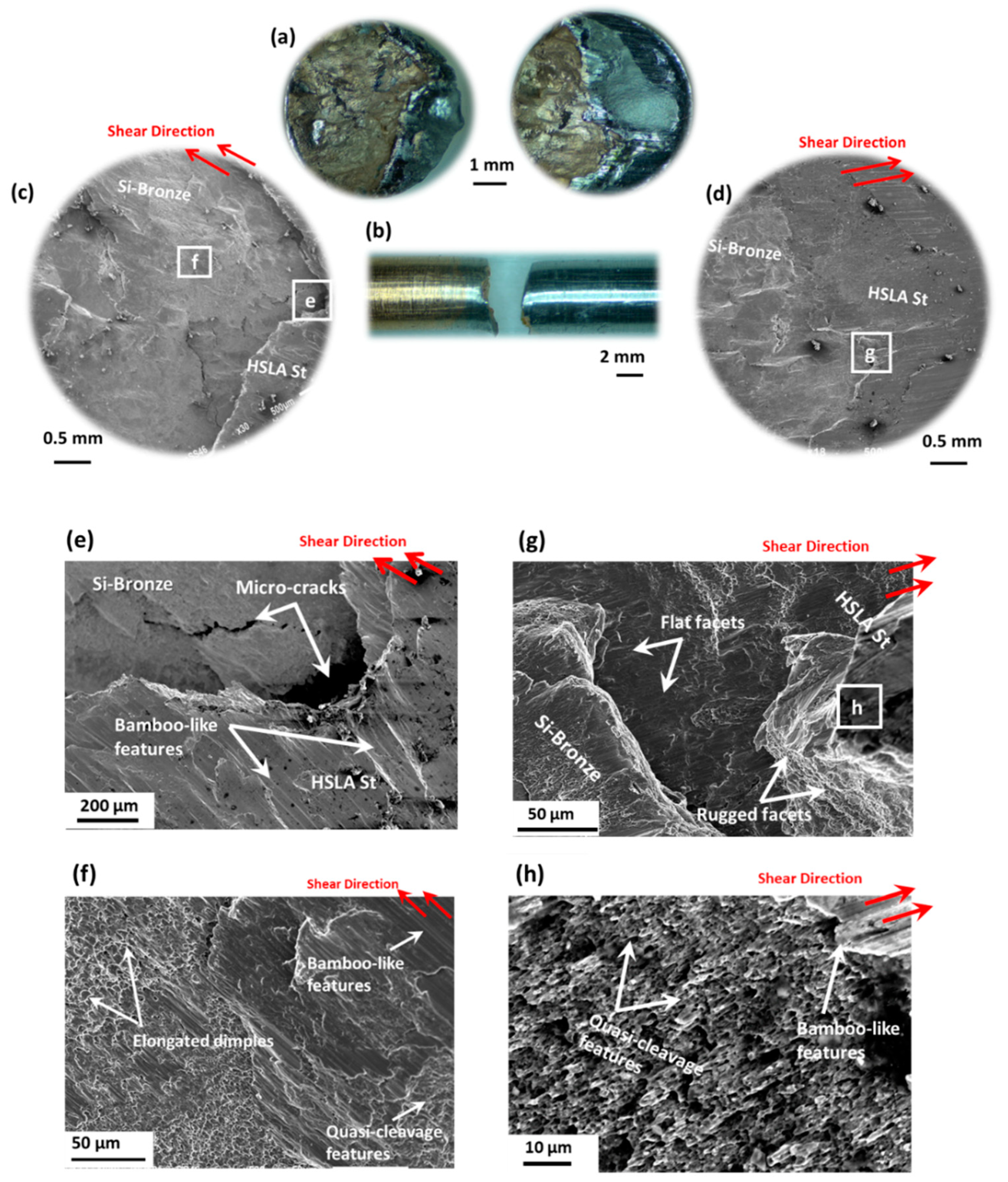 Jmmp 07 00138 g018 Jmmp 07 00138 g018