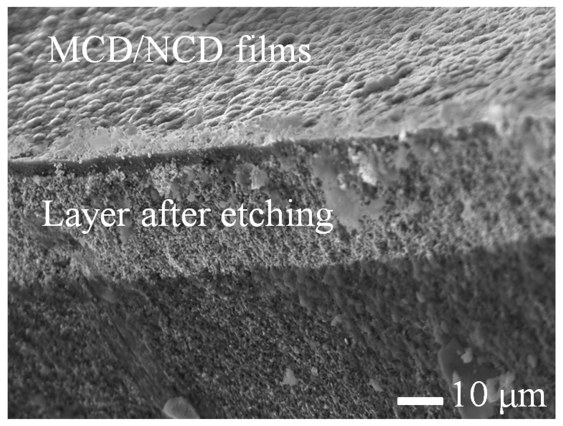 Jmmp 07 00224 g005 Jmmp 07 00224 g005