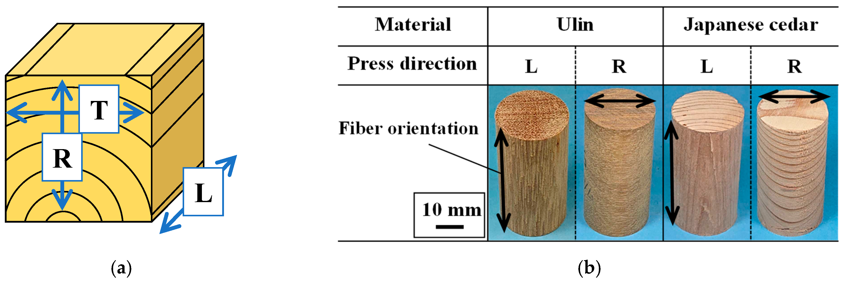 Jmmp 08 00030 g001 Jmmp 08 00030 g001