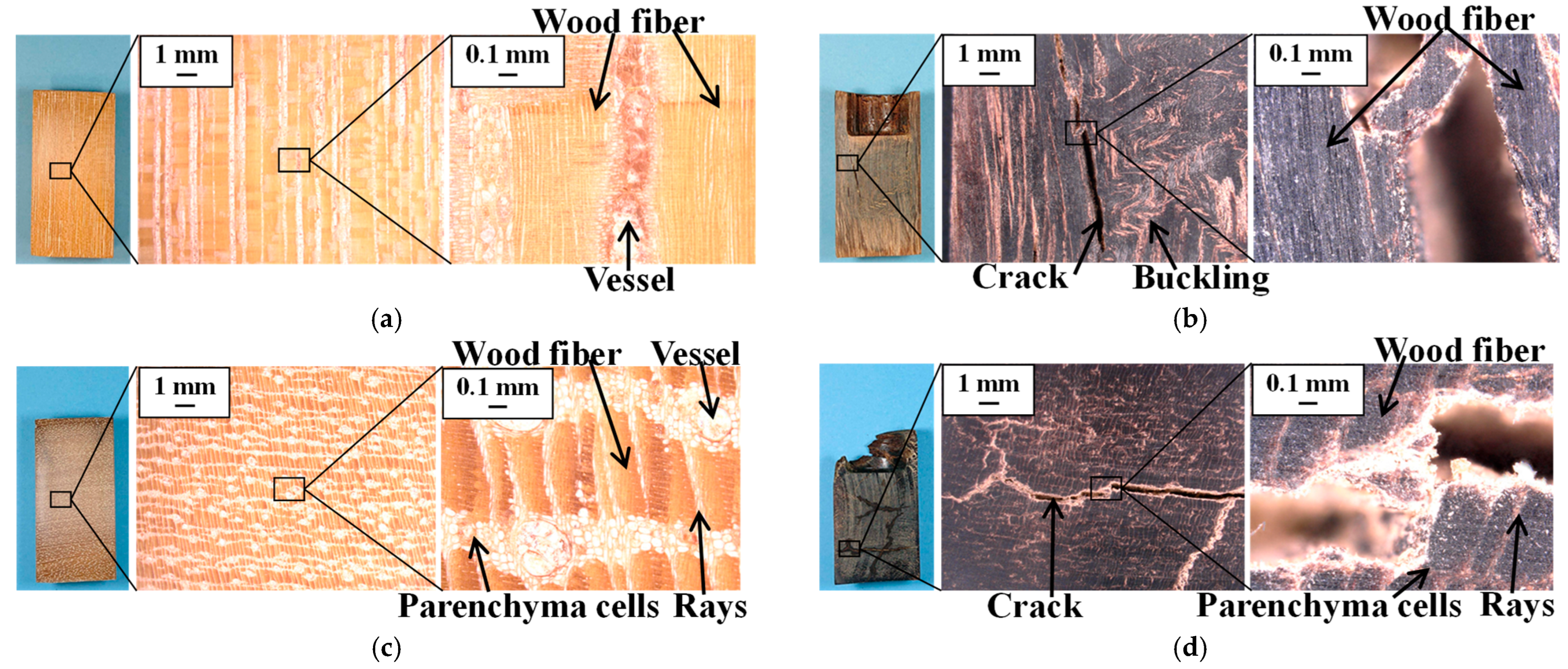 Jmmp 08 00030 g010 Jmmp 08 00030 g010