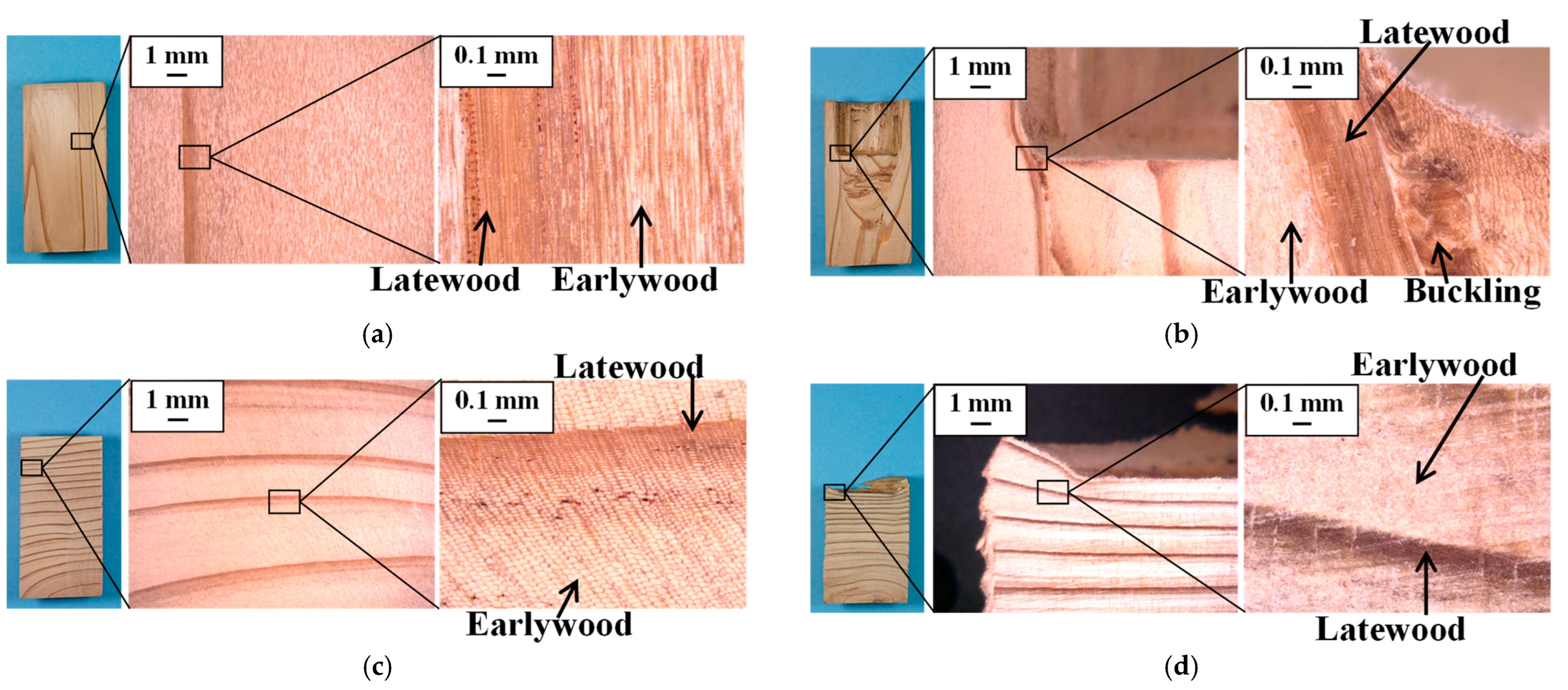 Jmmp 08 00030 g011 Jmmp 08 00030 g011