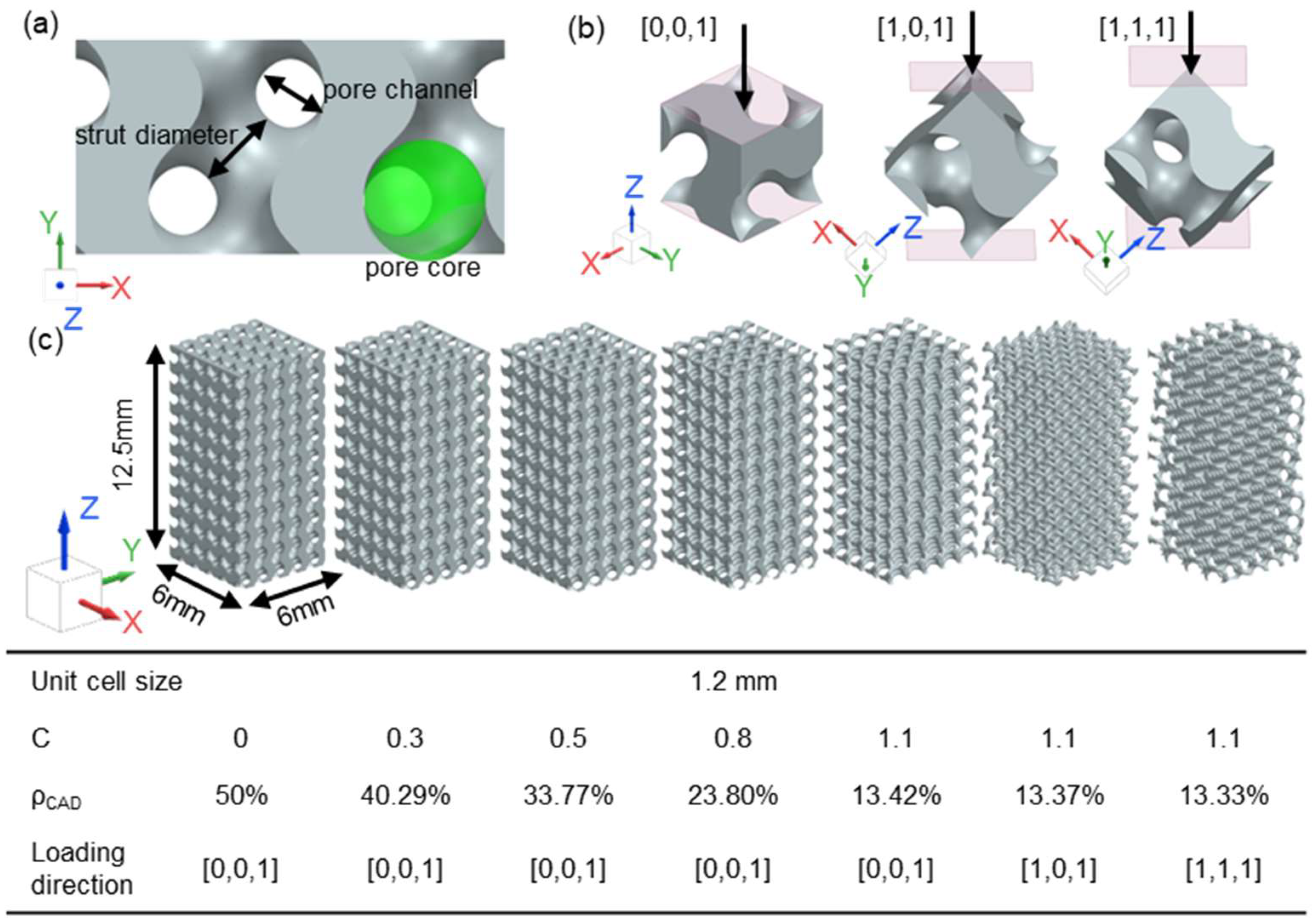 Geometric and Mechanical Properties of Ti6Al4V Skeletal
